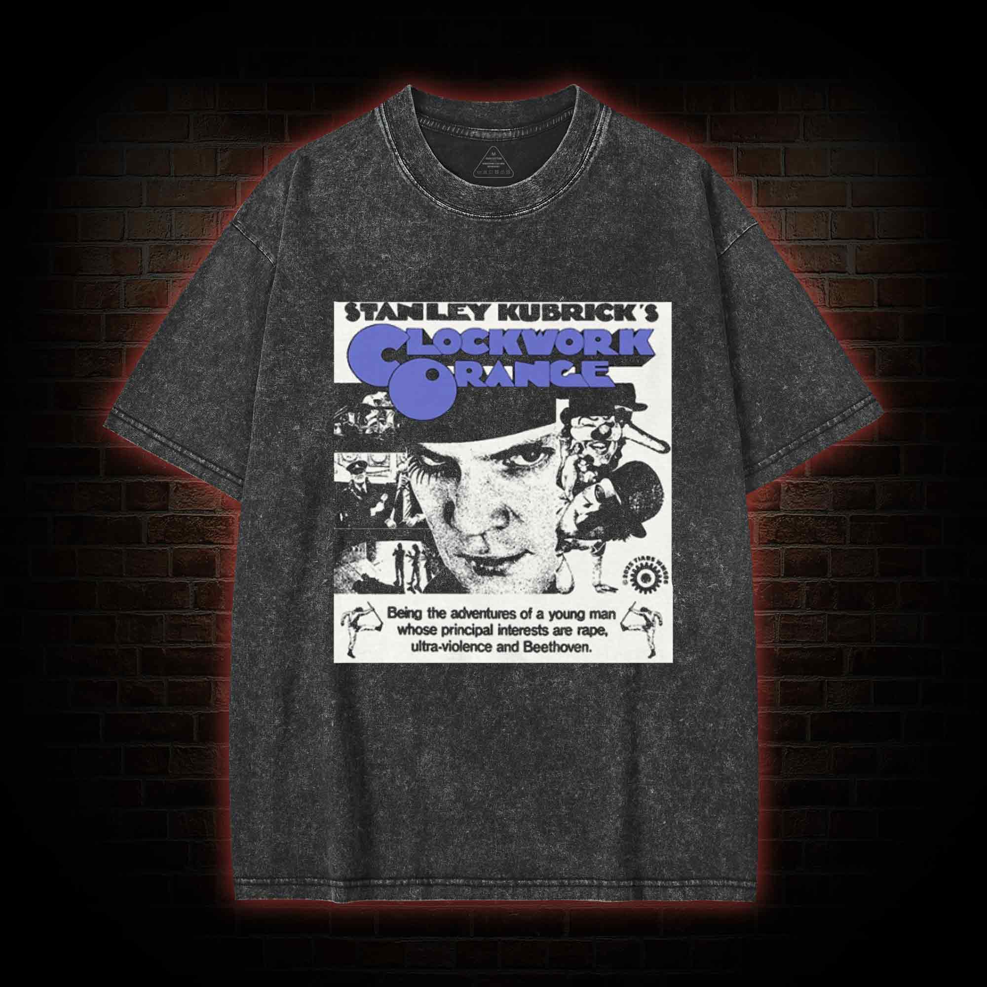 Goodness is Something to be Chosen Washed T-shirt