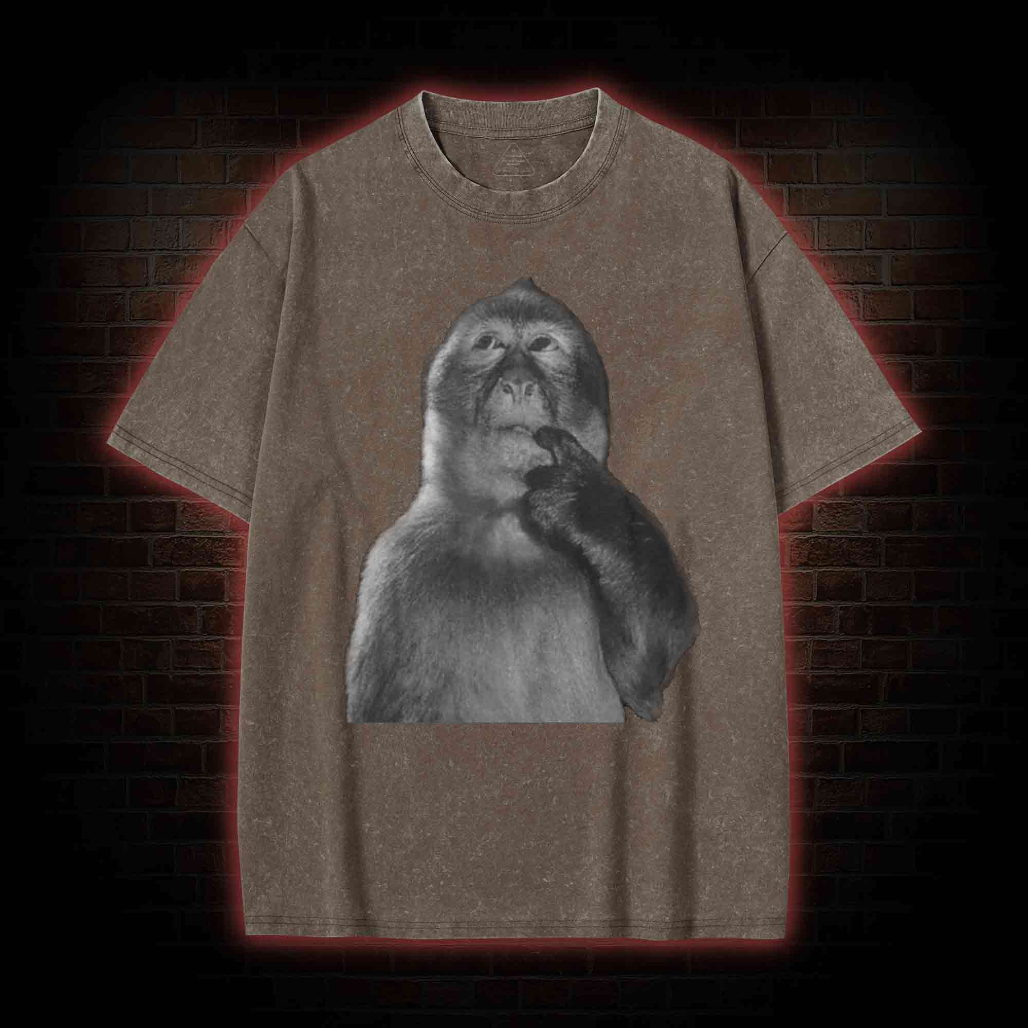 Funny Monkey Washed T-shirt