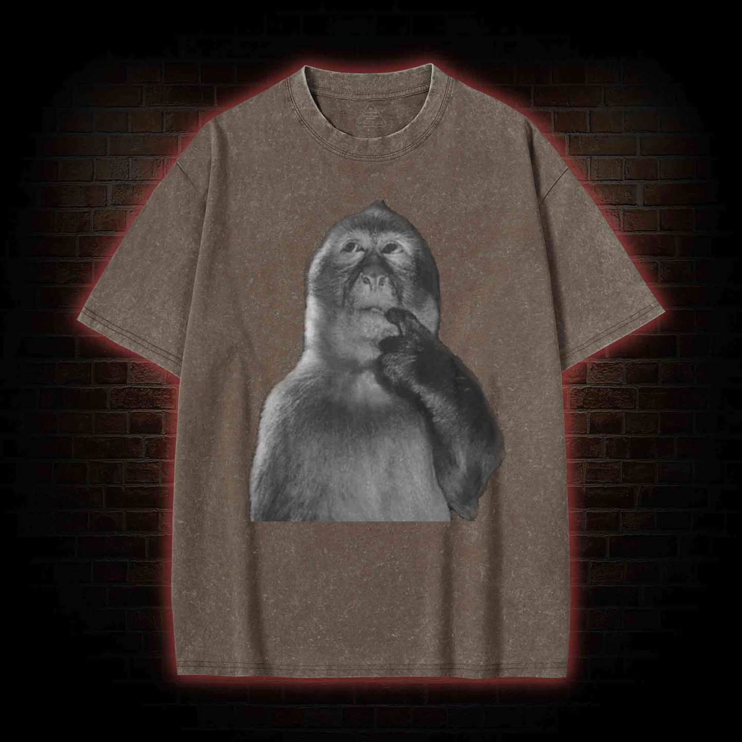 Funny Monkey Washed T-shirt