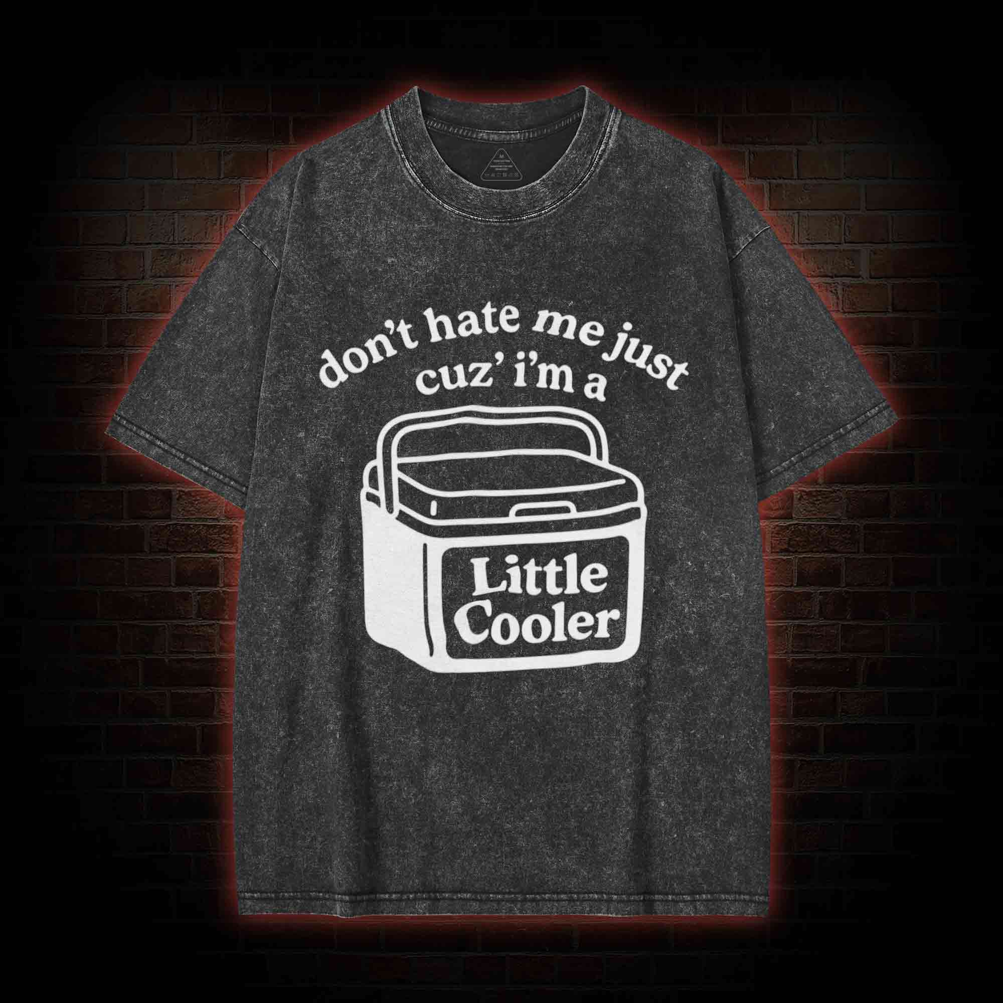 Don't Hate Me Cuz I'm a Little Cooler Washed T-shirt