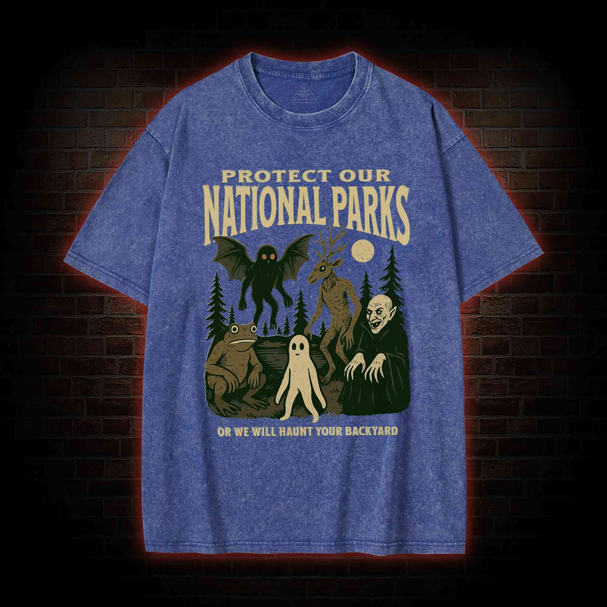 Protect Our National Parks Washed T-shirt