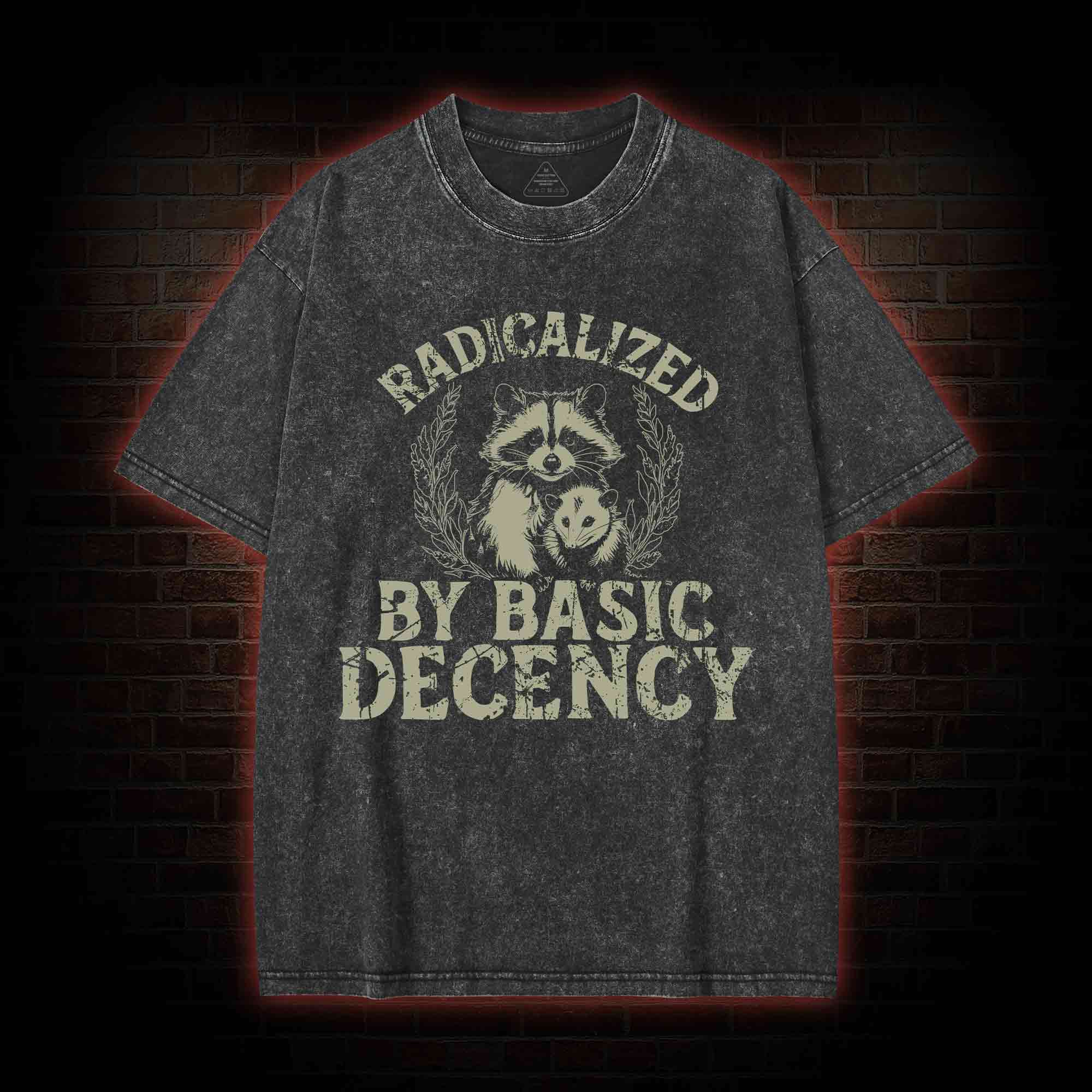 Radicalized by Basic Decency Raccoon Washed T-shirt