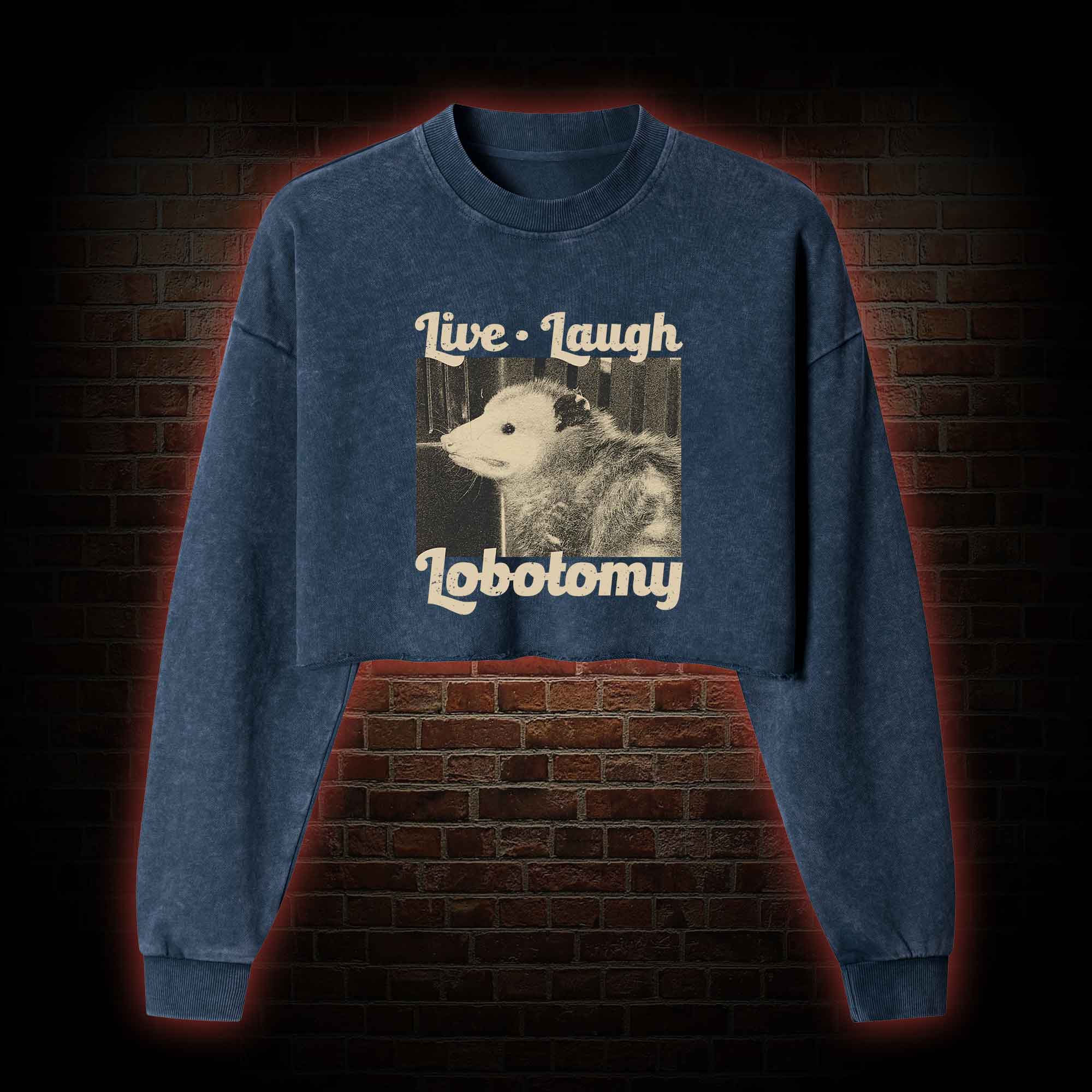 Live Laugh Lobotomy Washed Cropped Sweatshirts