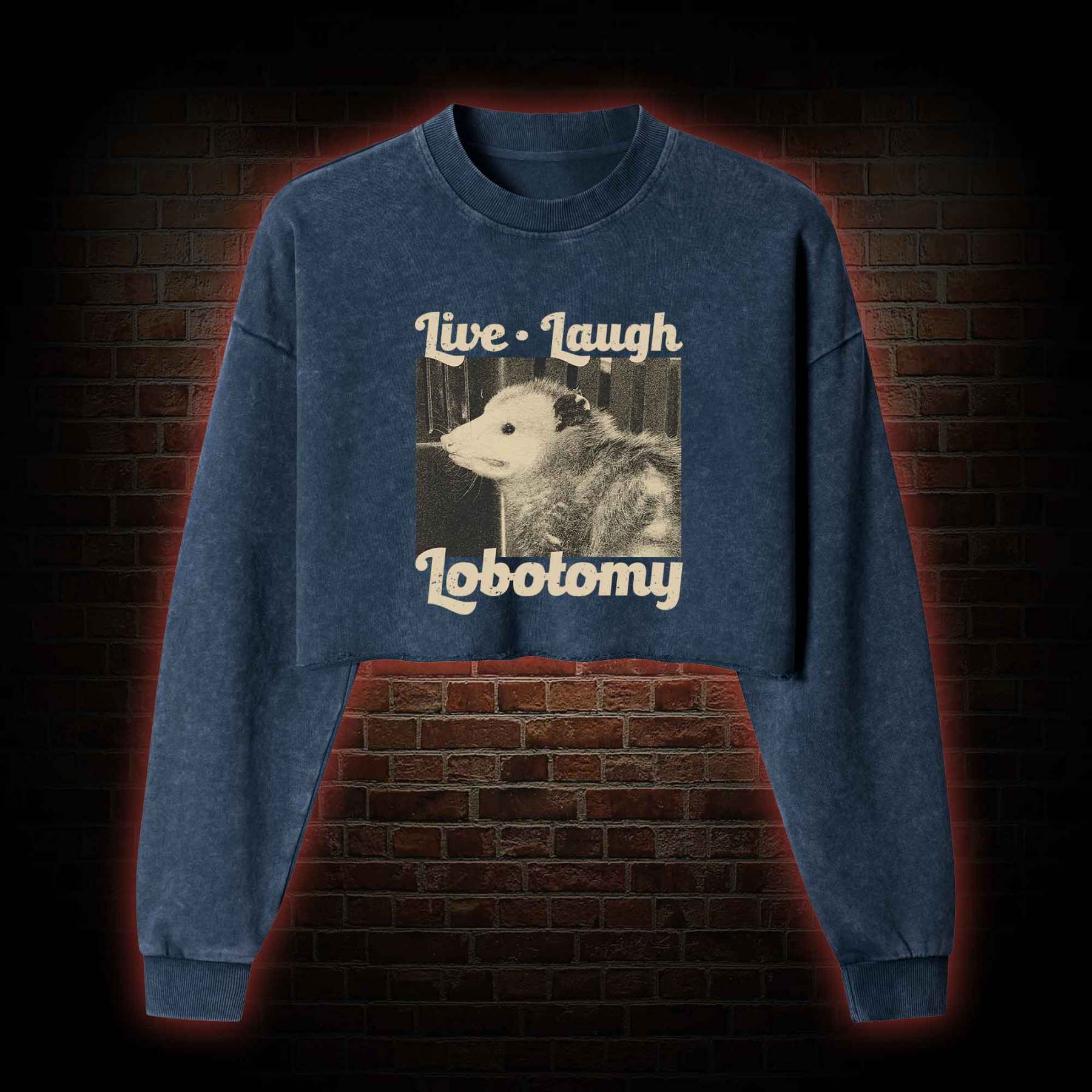 Live Laugh Lobotomy Washed Cropped Sweatshirts