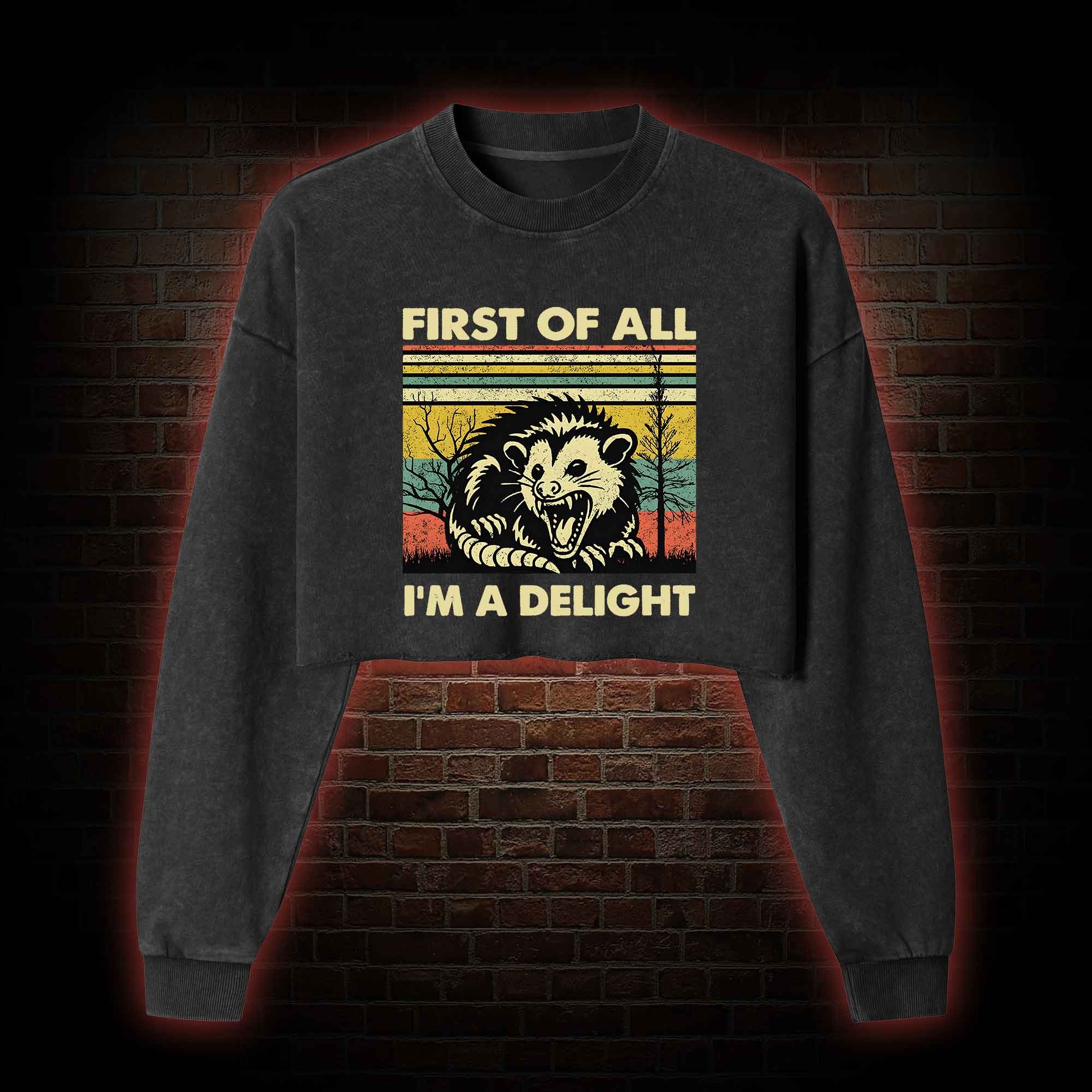 I'm A Delight Washed Cropped Sweatshirts