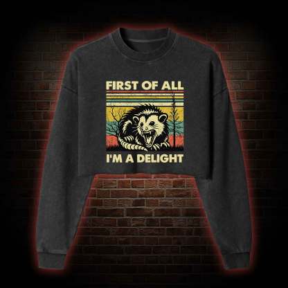 I'm A Delight Washed Cropped Sweatshirts