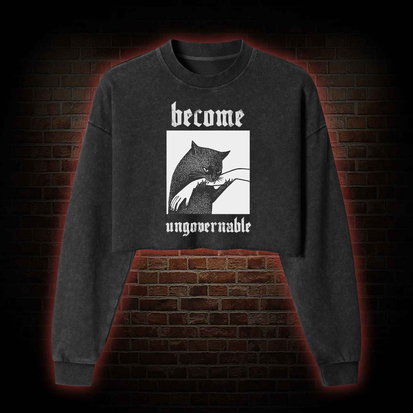 Silly Cats Washed Cropped Sweatshirts