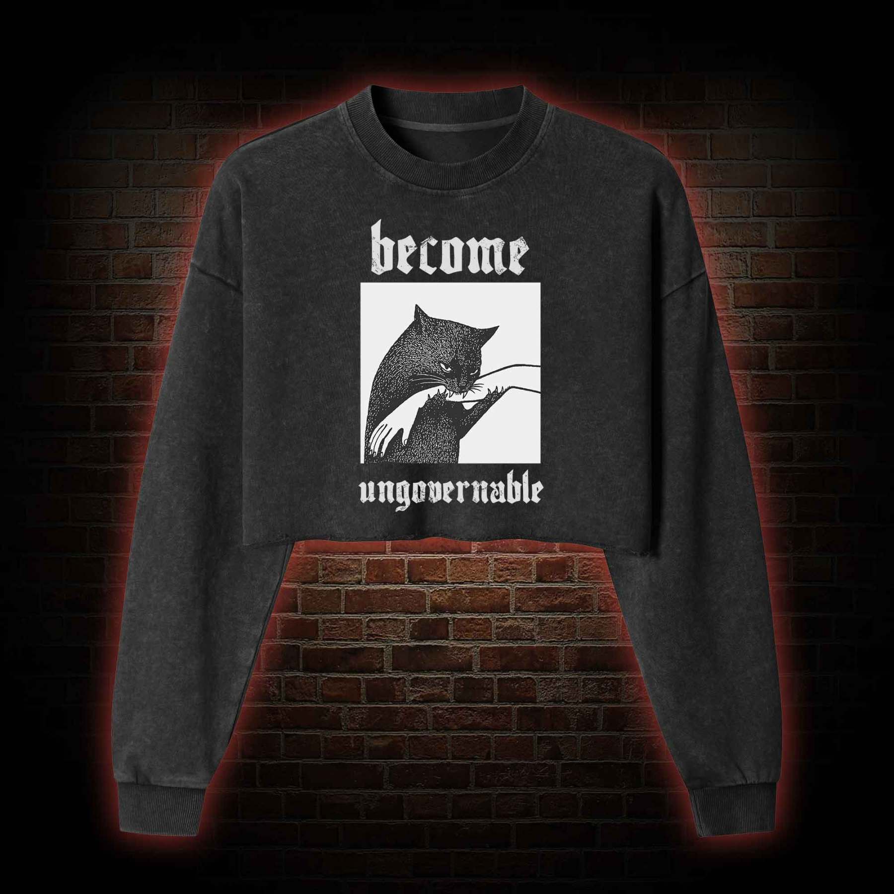 Silly Cats Washed Cropped Sweatshirts