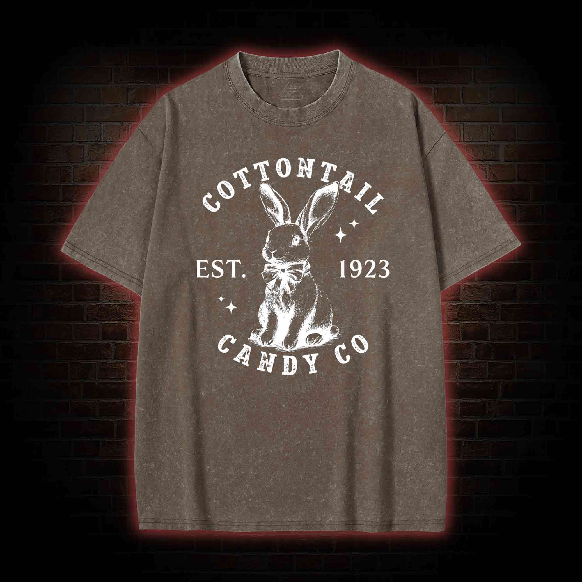 Easter Day Washed T-shirt