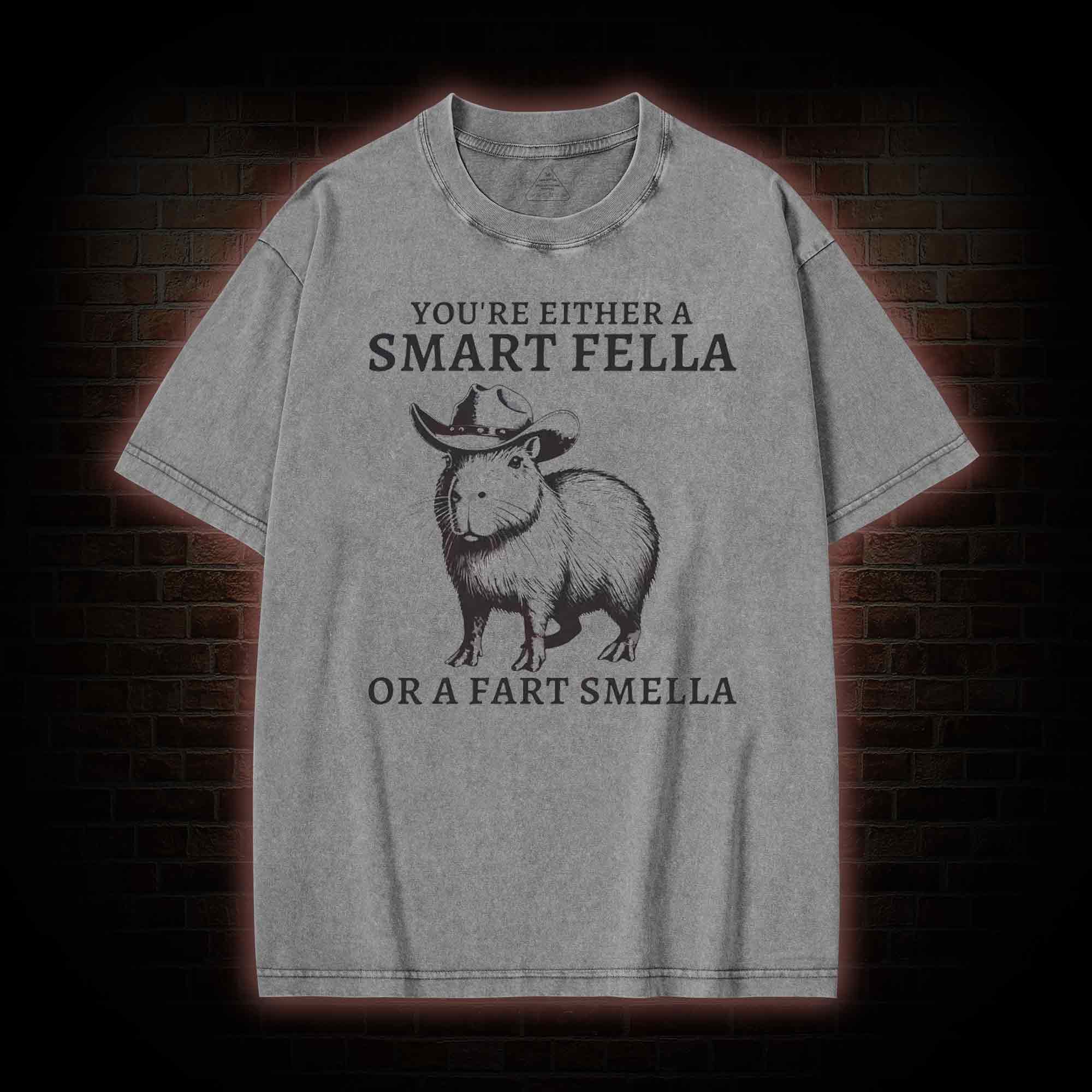 Smart Fella Capybara Washed T-shirt