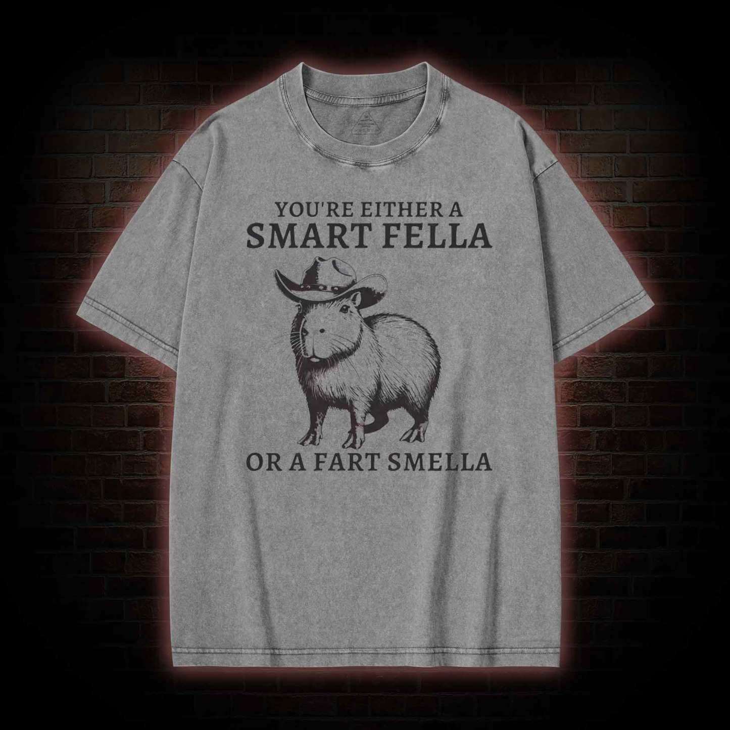 Smart Fella Capybara Washed T-shirt