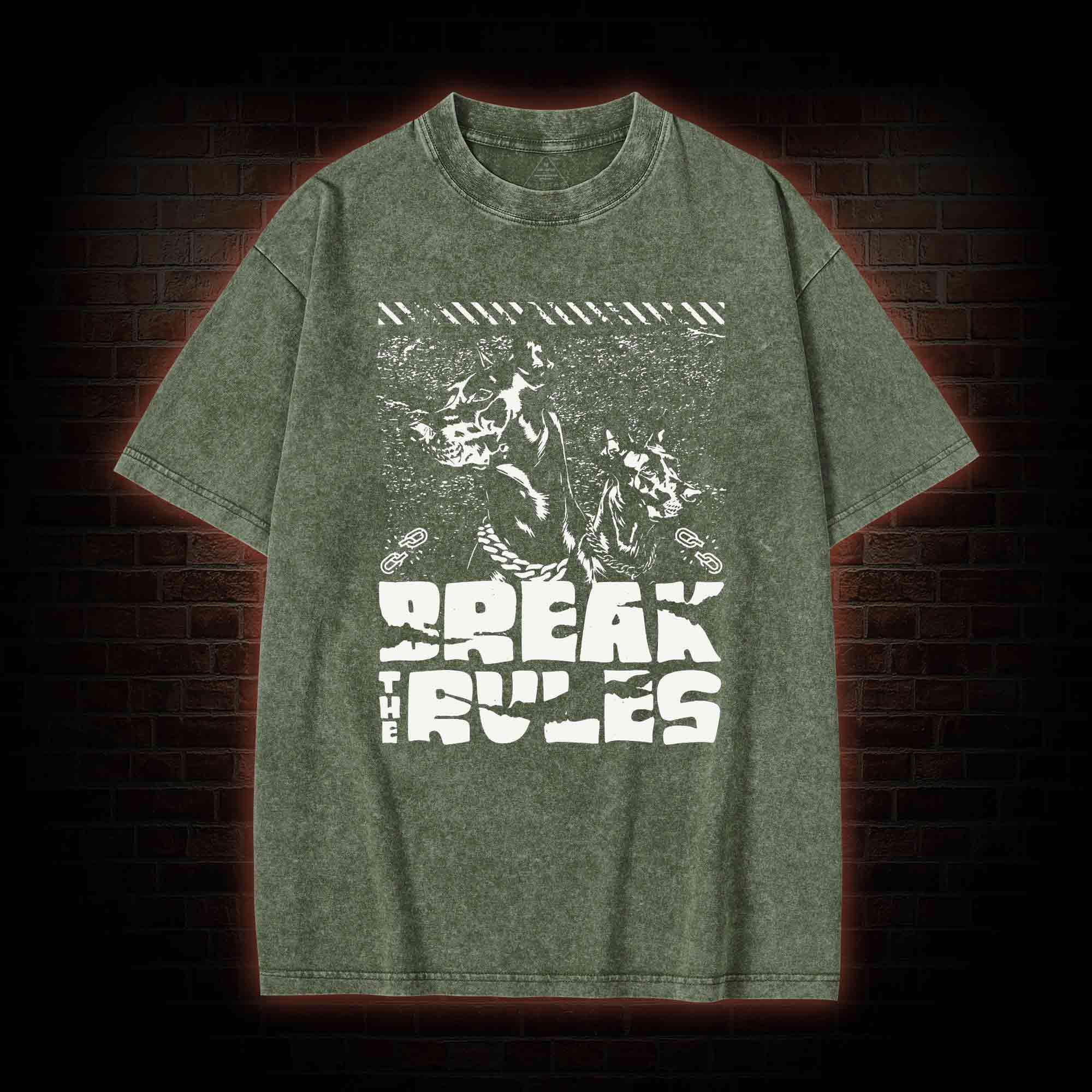 Break the Rules Washed T-shirt