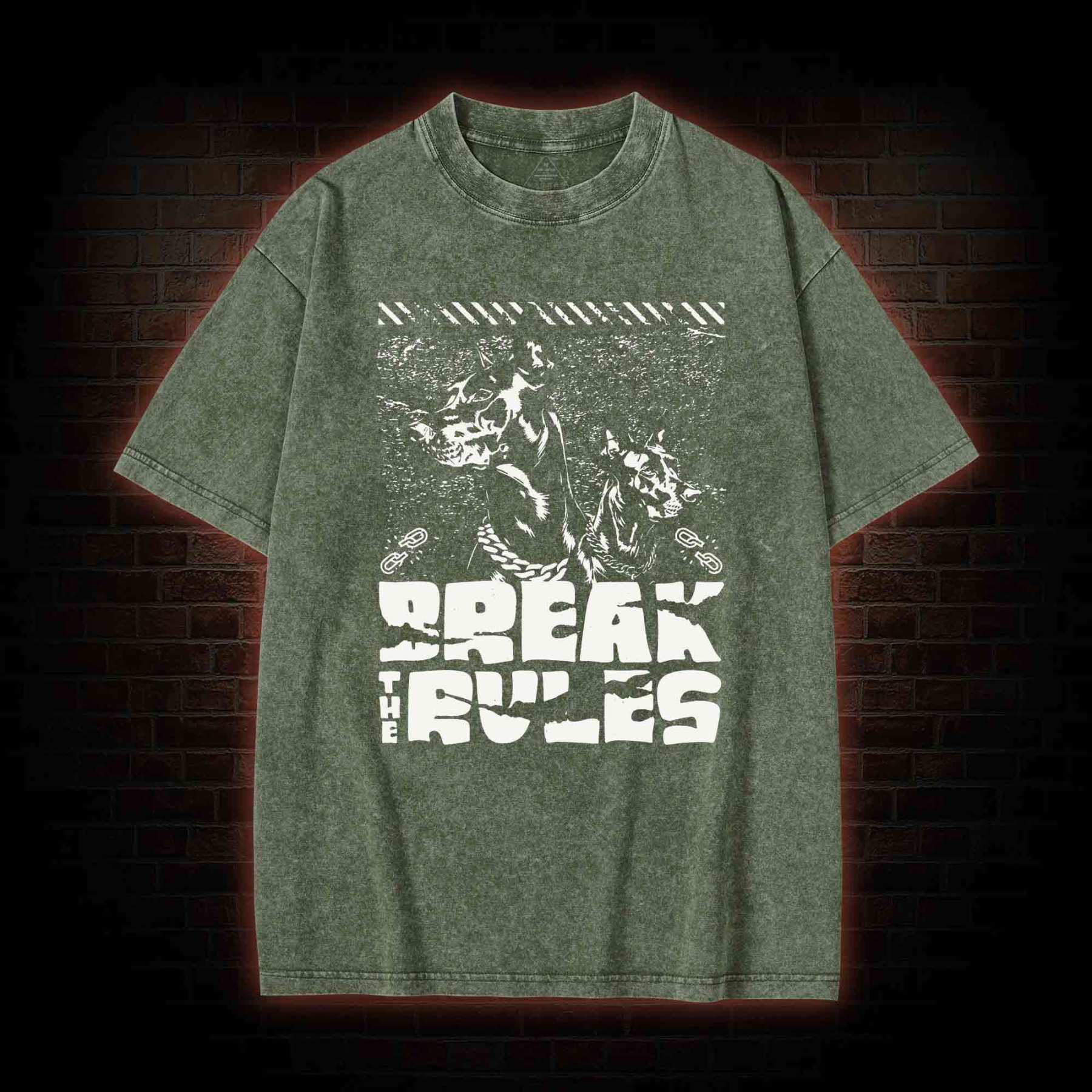 Break the Rules Washed T-shirt