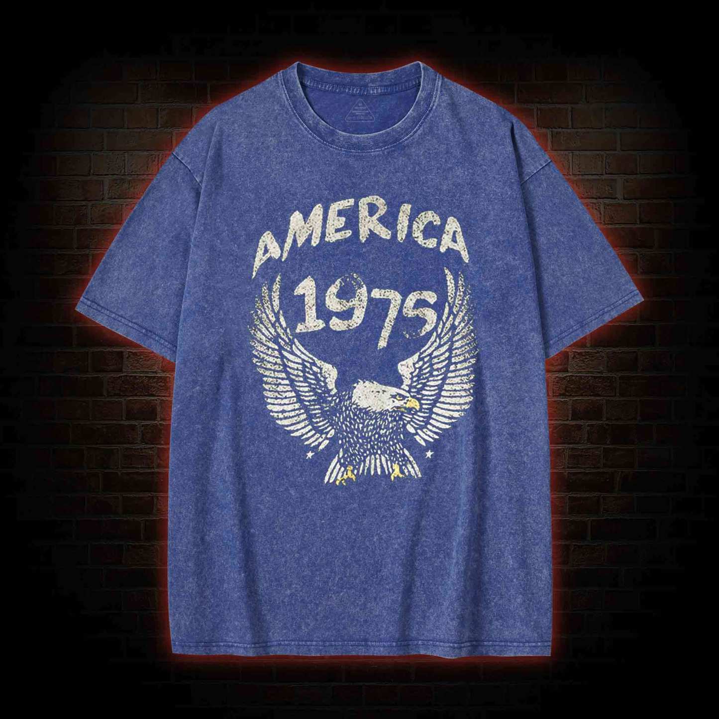 America 1975 Washed T-shirt