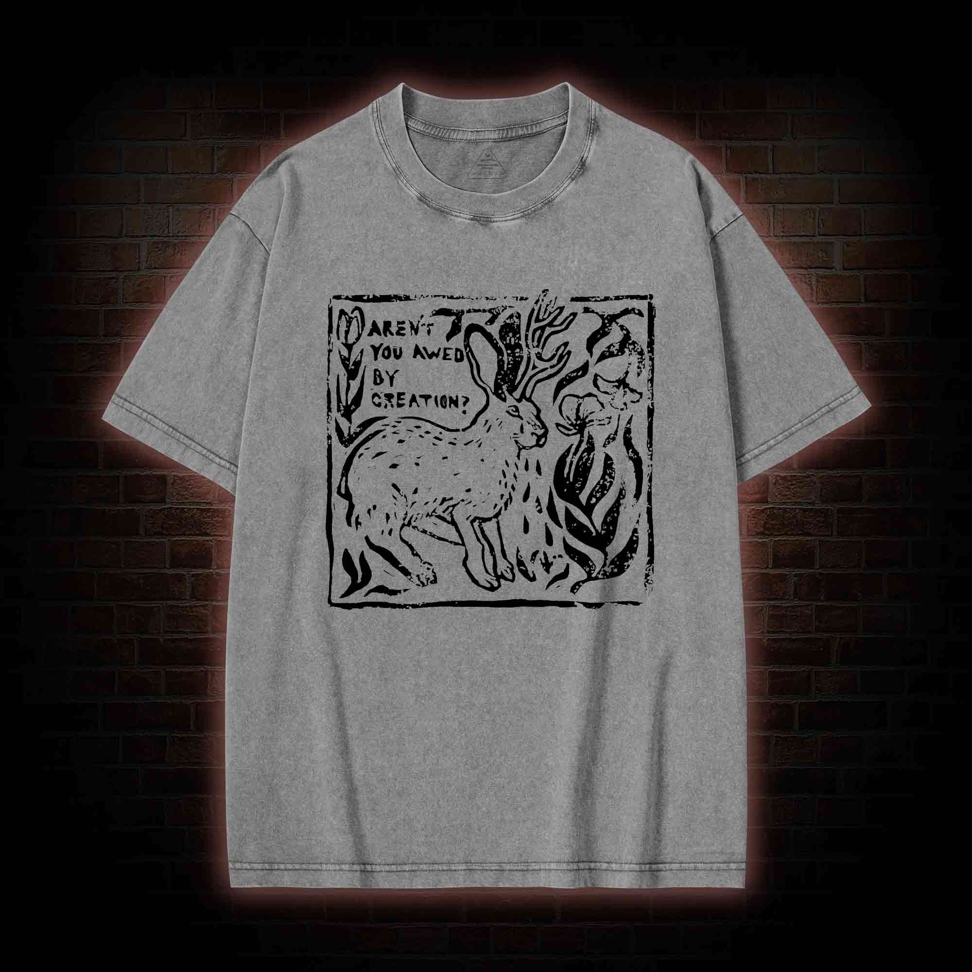 Aren't You Awed by Creation Washed T-shirt