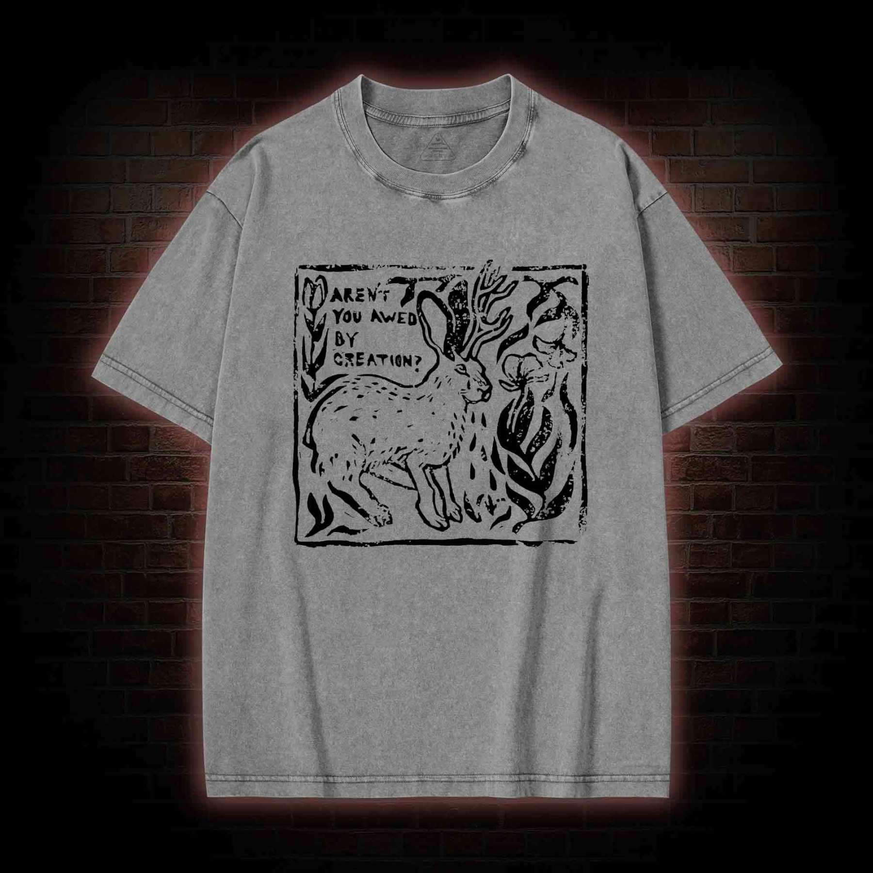 Aren't You Awed by Creation Washed T-shirt