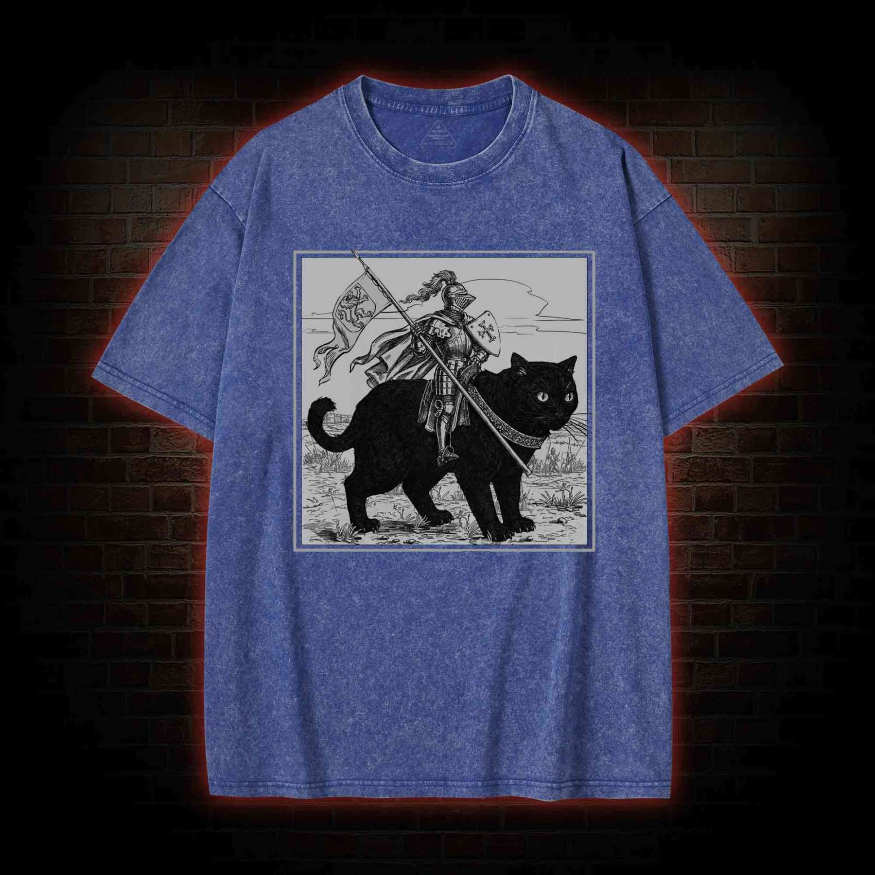 Medieval Knight Washed T-shirt
