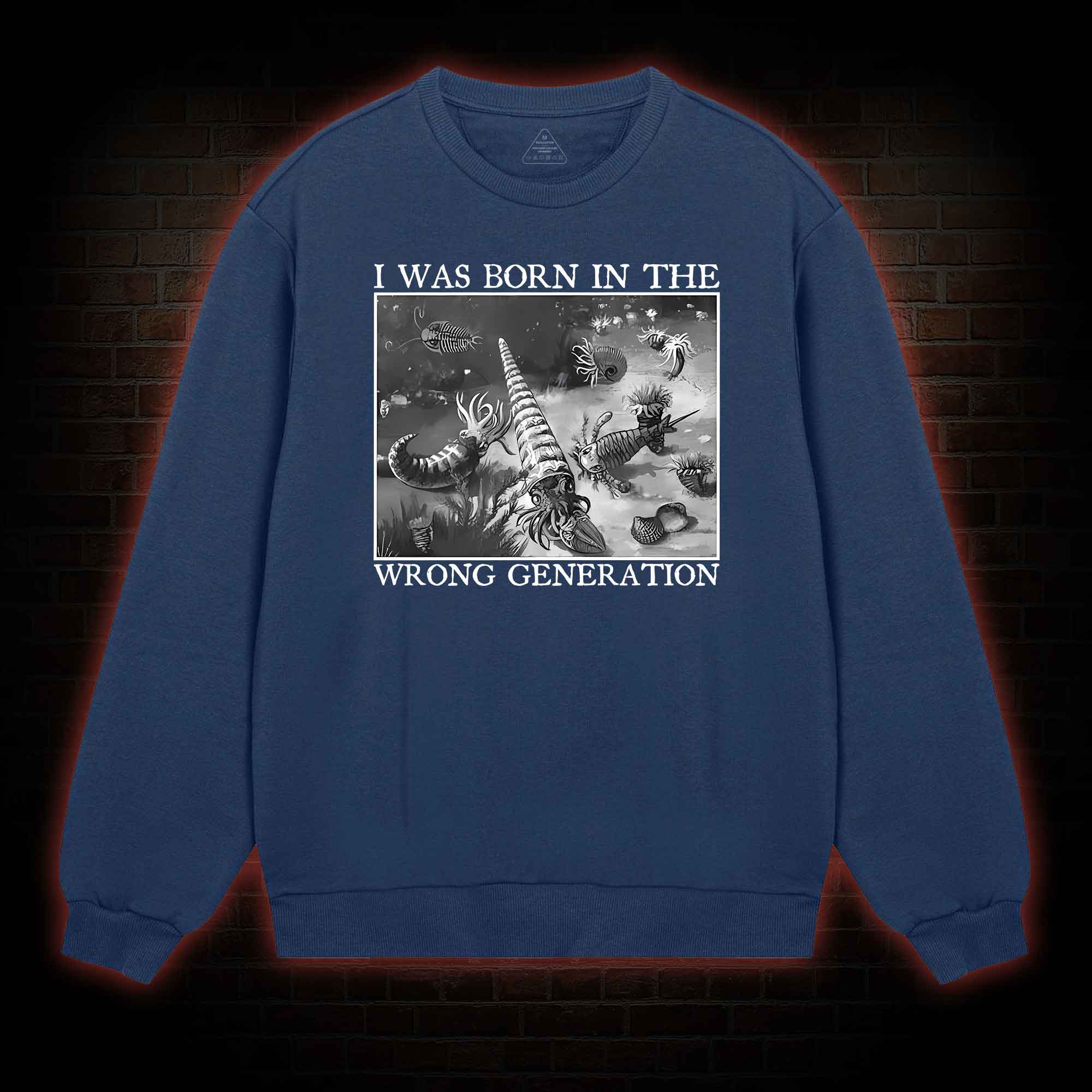 I Was Born In The Wrong Generation Sweatshirt