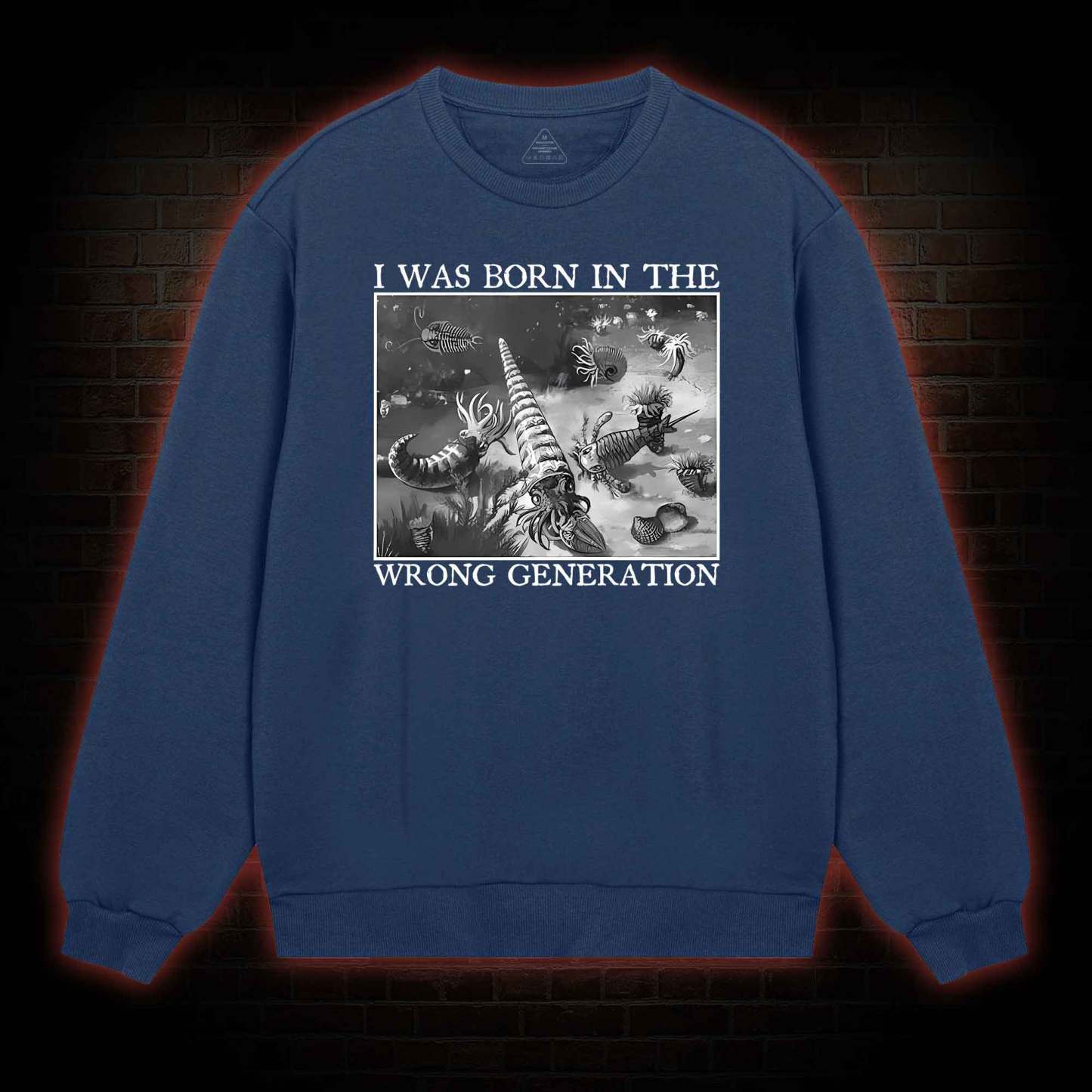 I Was Born In The Wrong Generation Sweatshirt