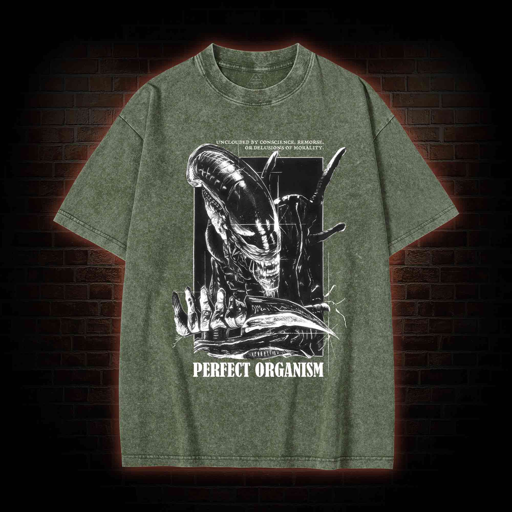Perfect Organism Retro Washed T-shirt