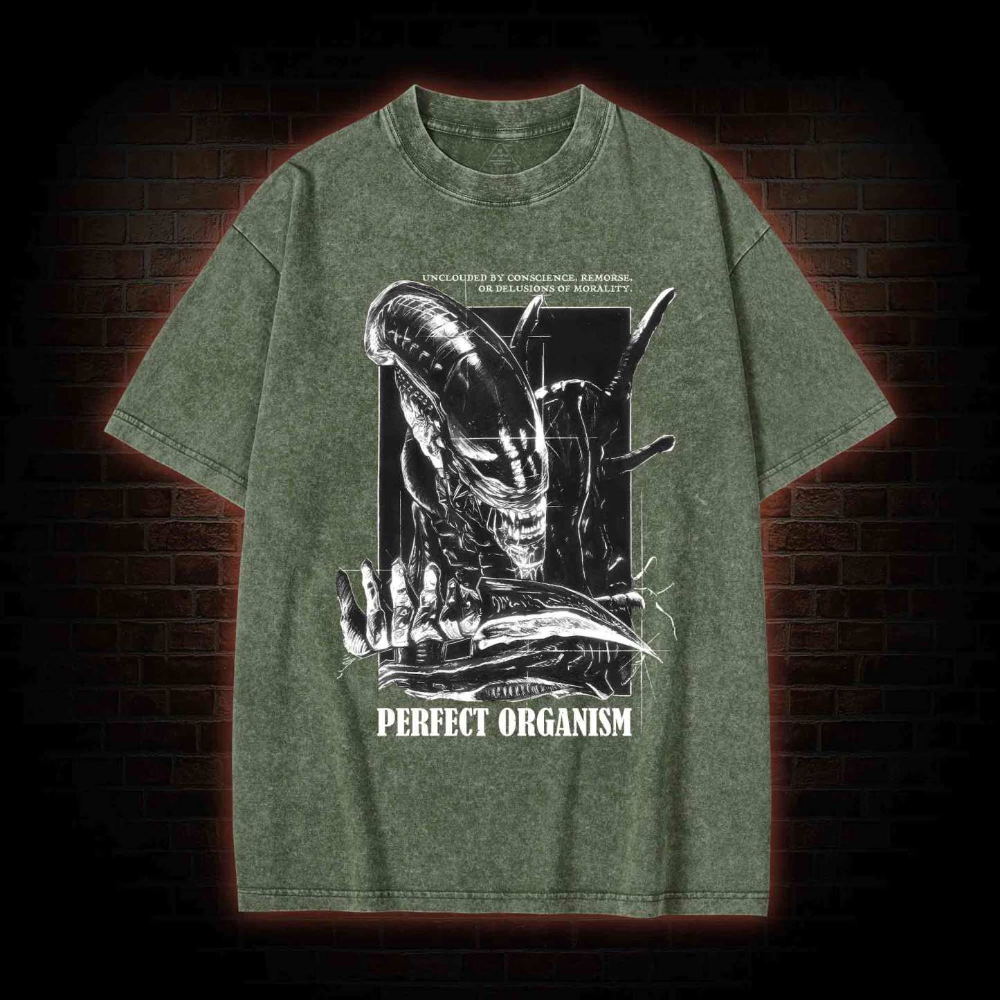 Perfect Organism Retro Washed T-shirt