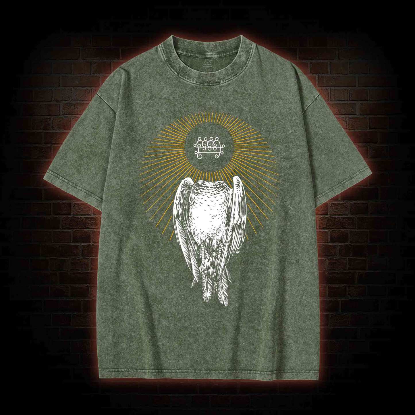 Headless Pigeon Washed T-shirt