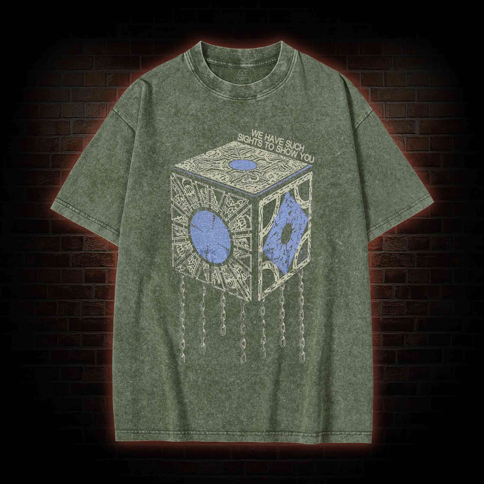 We have Such Sights to Show You Vintage Washed T-shirt