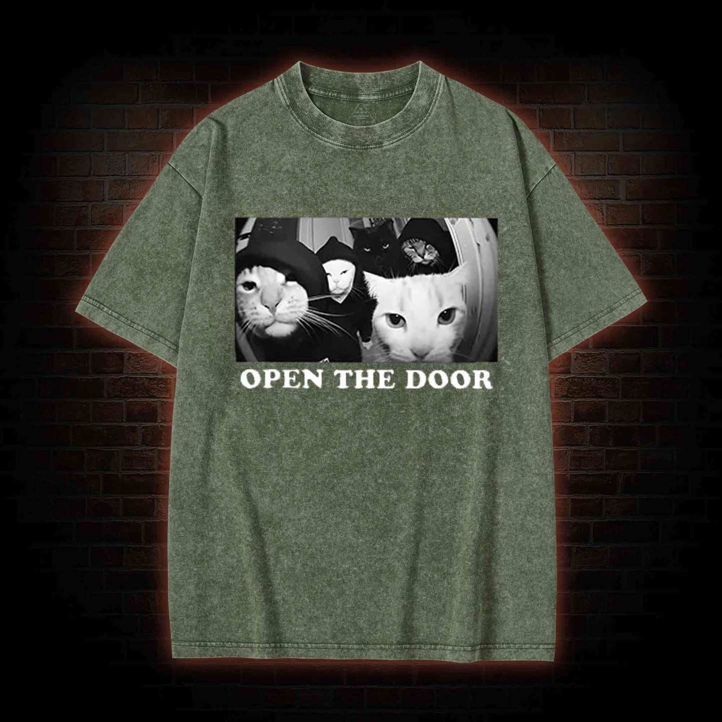 Cats Open Door Washed T-shirt
