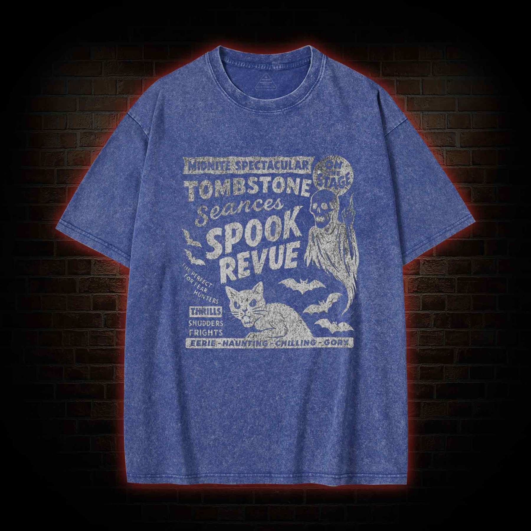 Spook Review Washed T-shirt