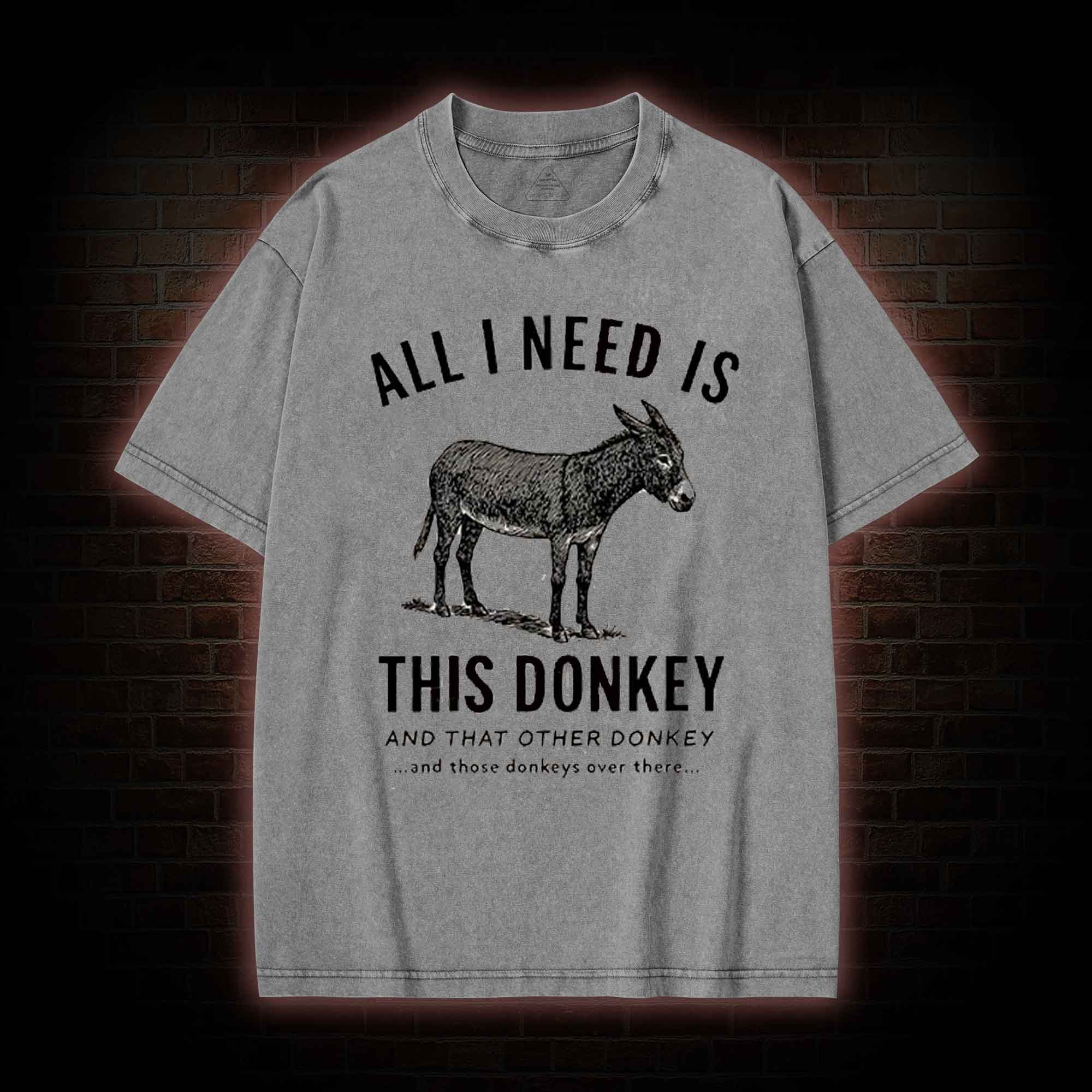 All I Need is This Donkey Washed T-shirt