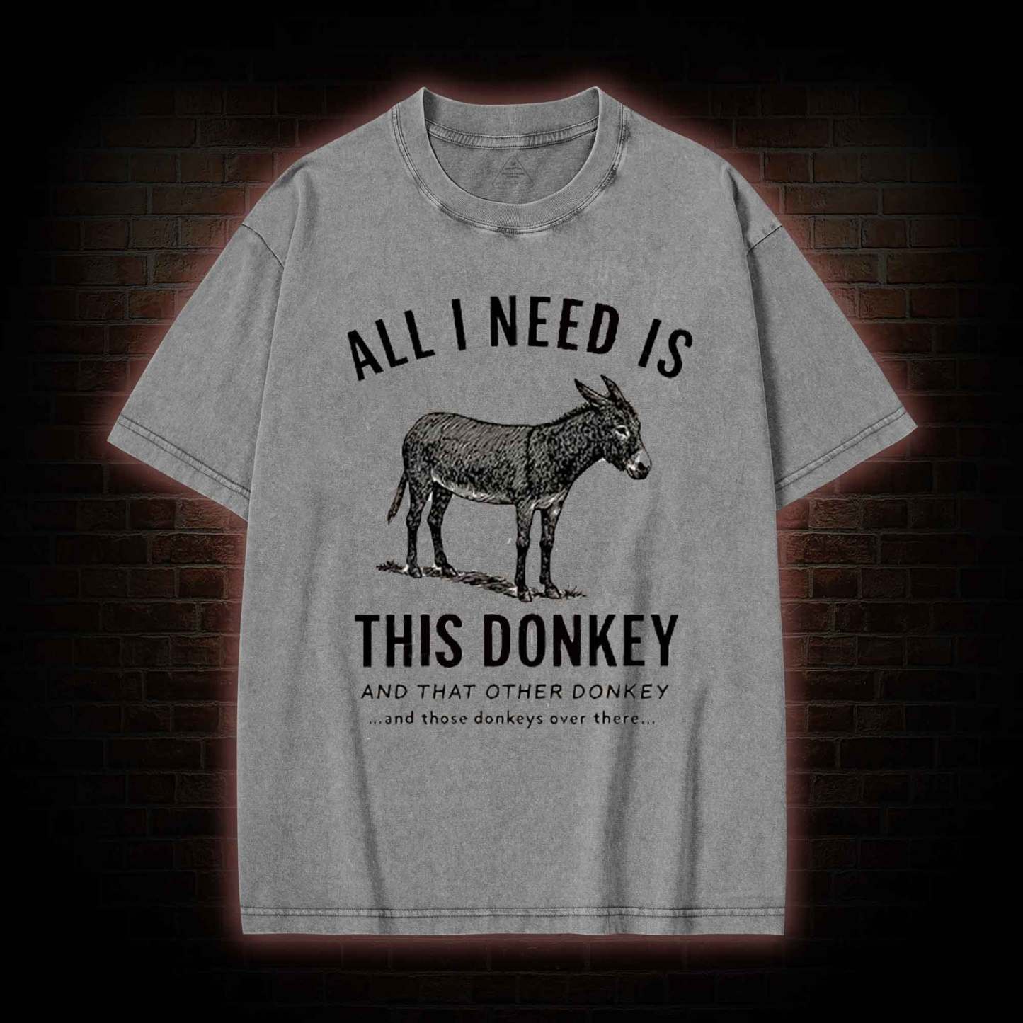 All I Need is This Donkey Washed T-shirt