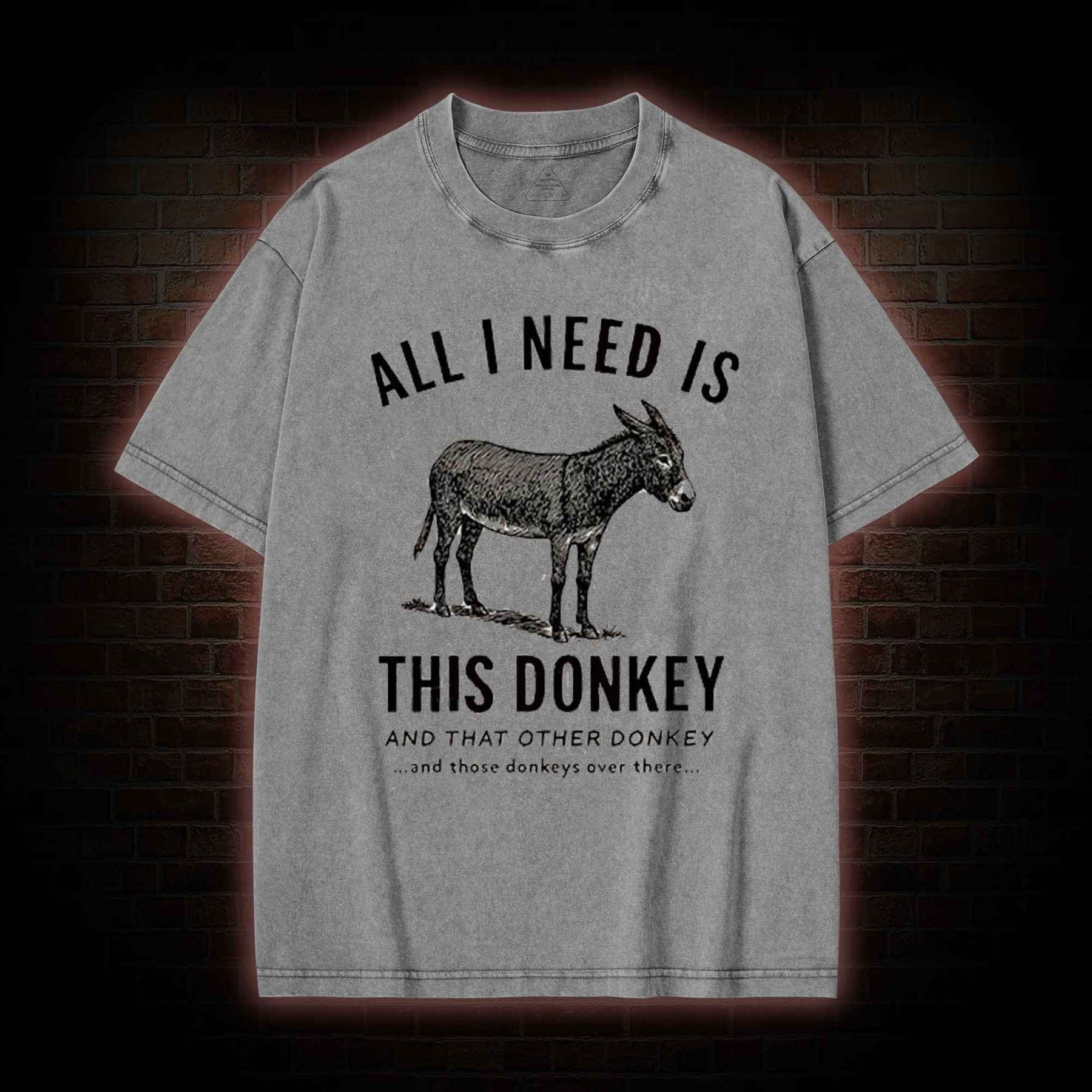 All I Need is This Donkey Washed T-shirt