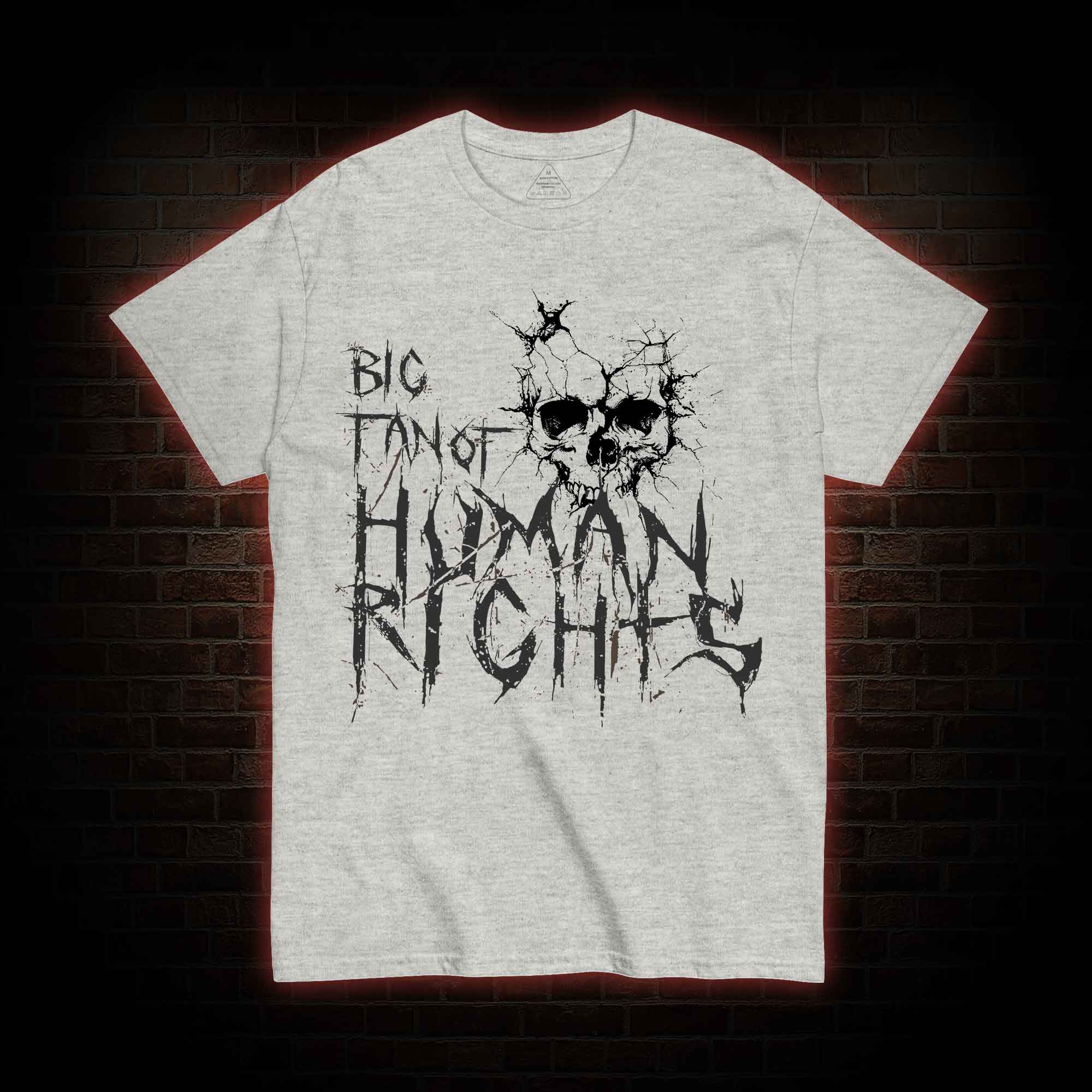Big Fan of Human Rights T-shirt
