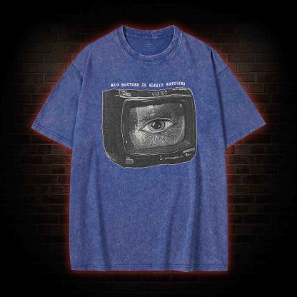 Big Brother is Always Watching Washed T-shirt