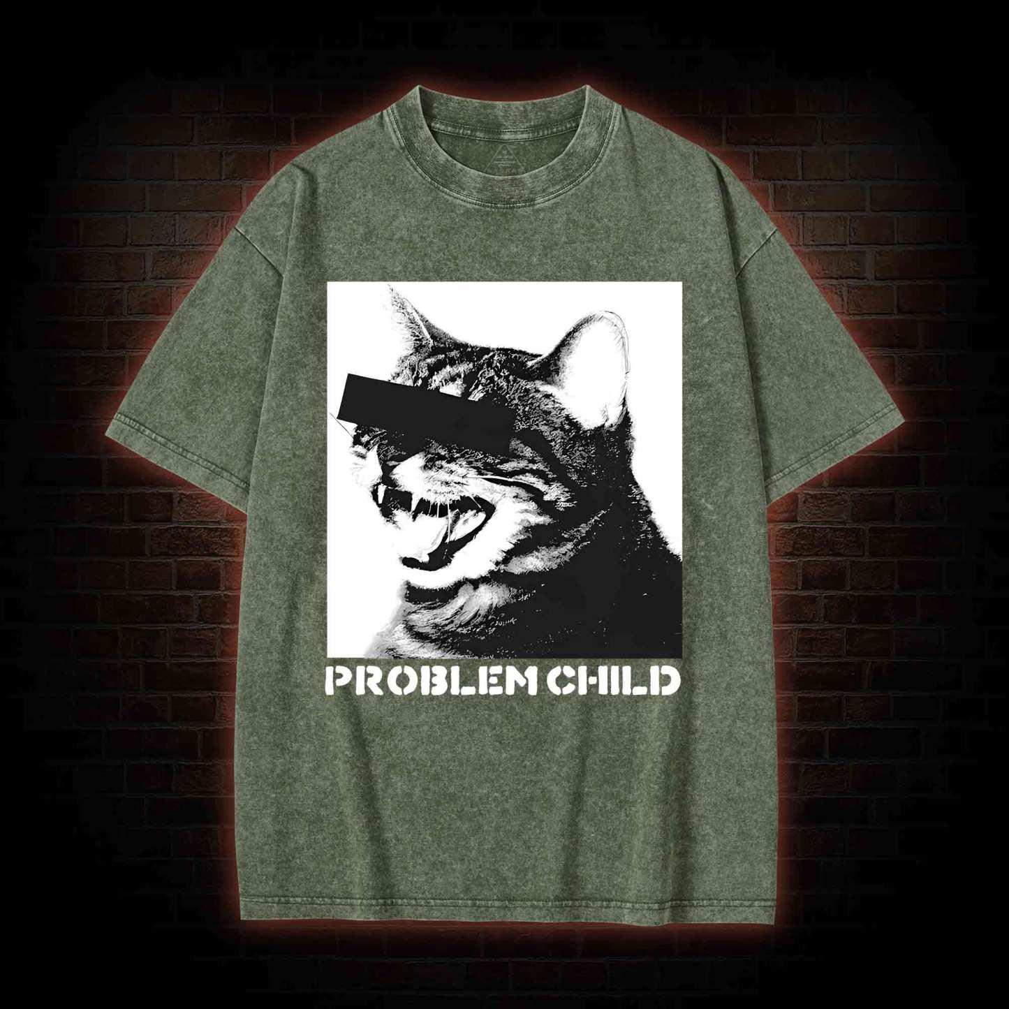Problem Child Cat Washed T-shirt