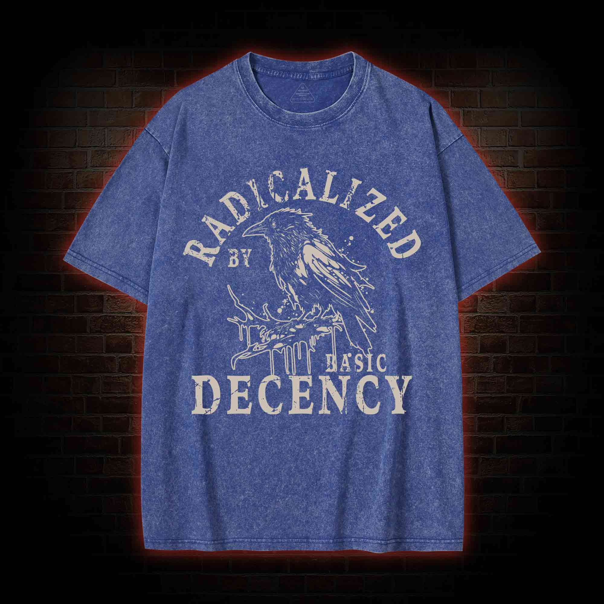 Radicalized by Basic Decency Crow Washed T-shirt