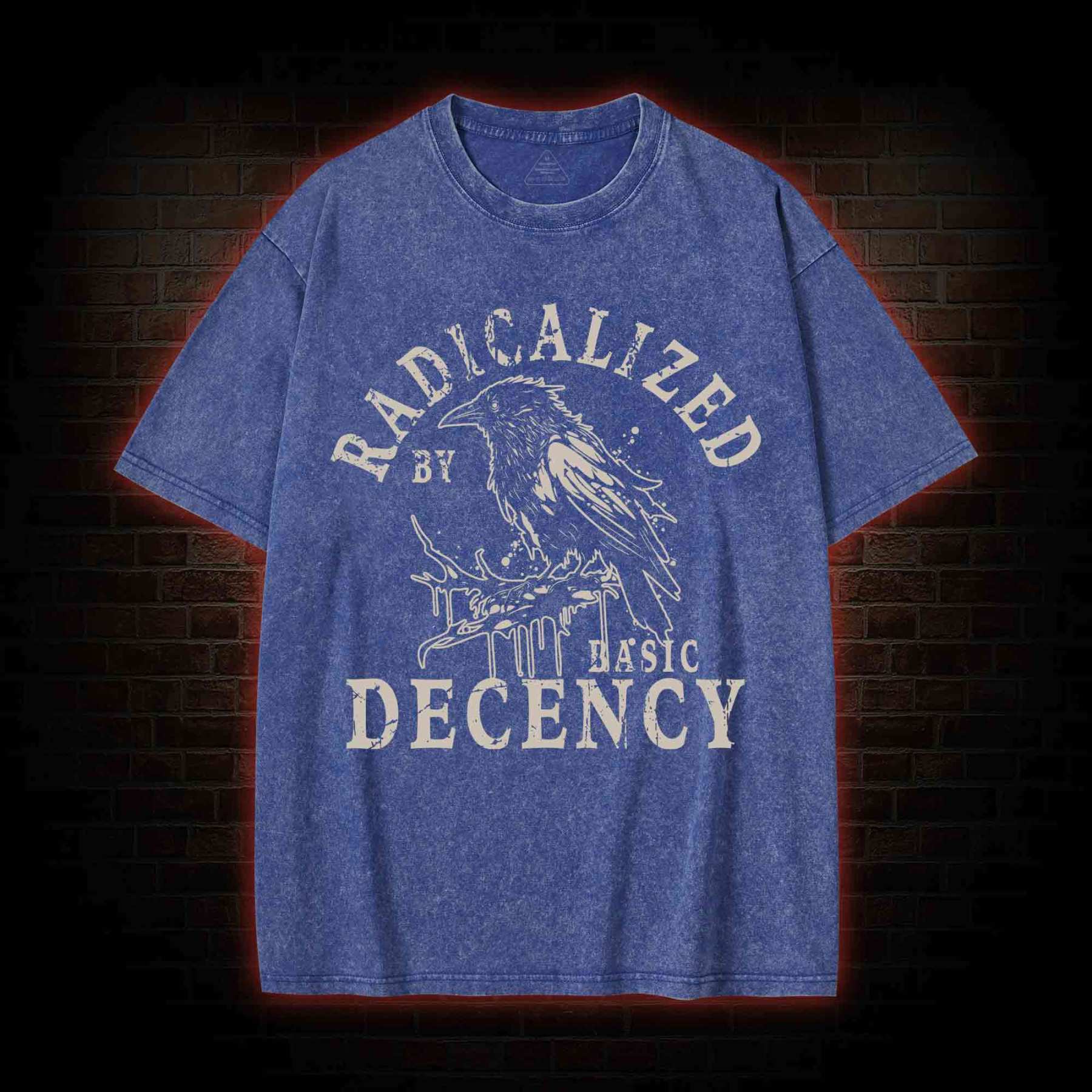Radicalized by Basic Decency Crow Washed T-shirt