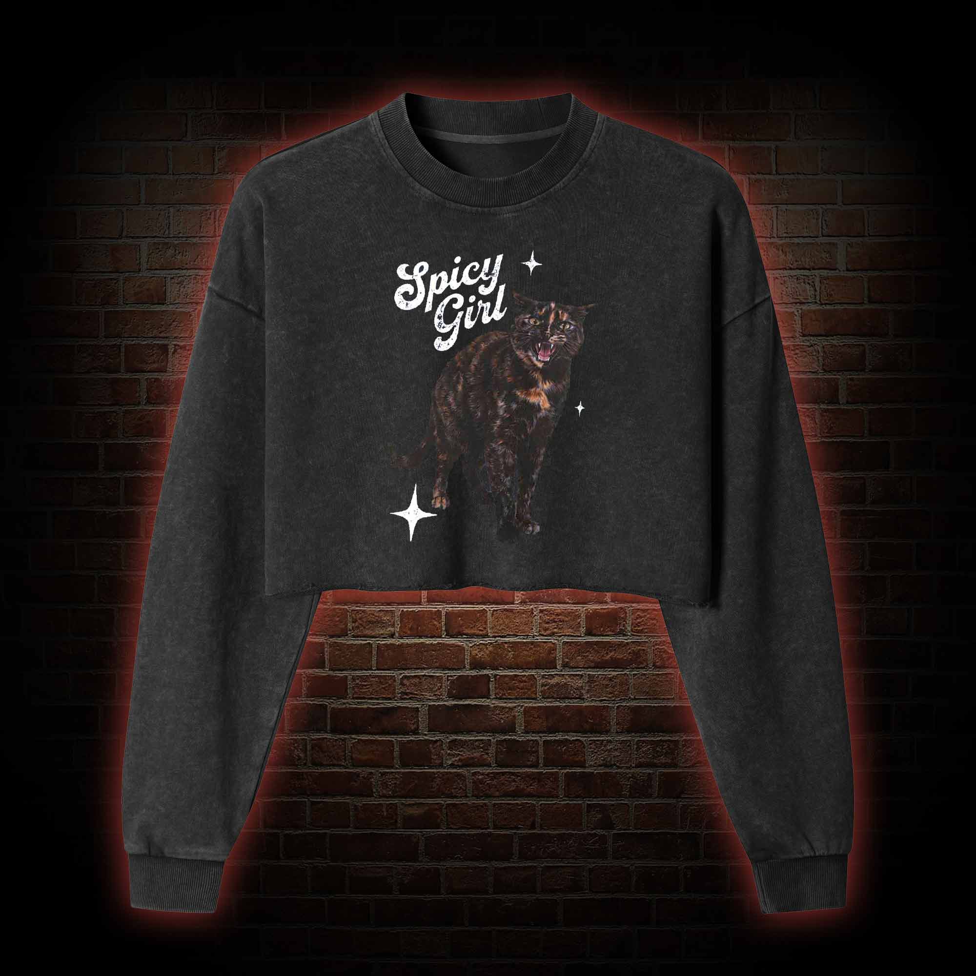 Spicy Girl Washed Cropped Sweatshirts