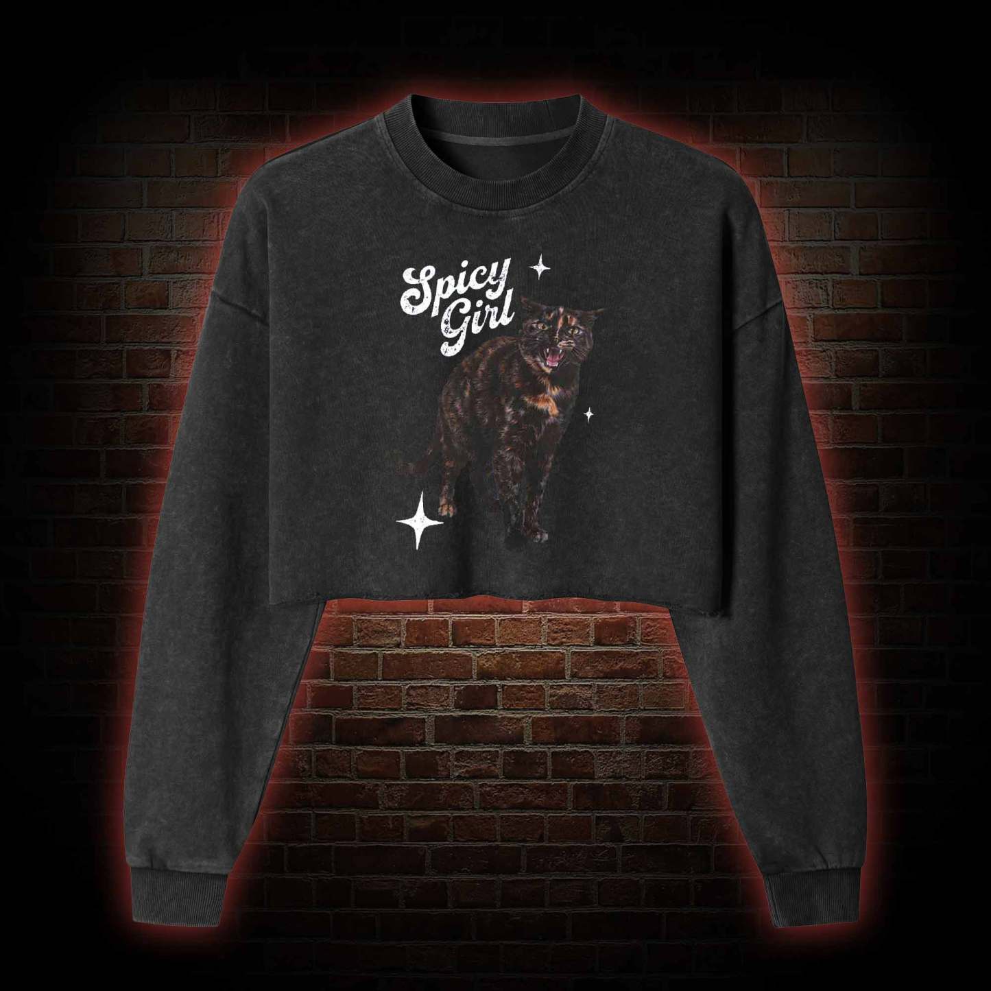 Spicy Girl Washed Cropped Sweatshirts
