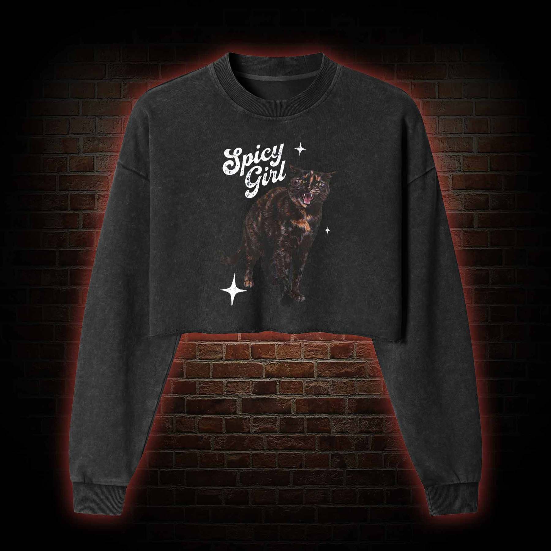 Spicy Girl Washed Cropped Sweatshirts