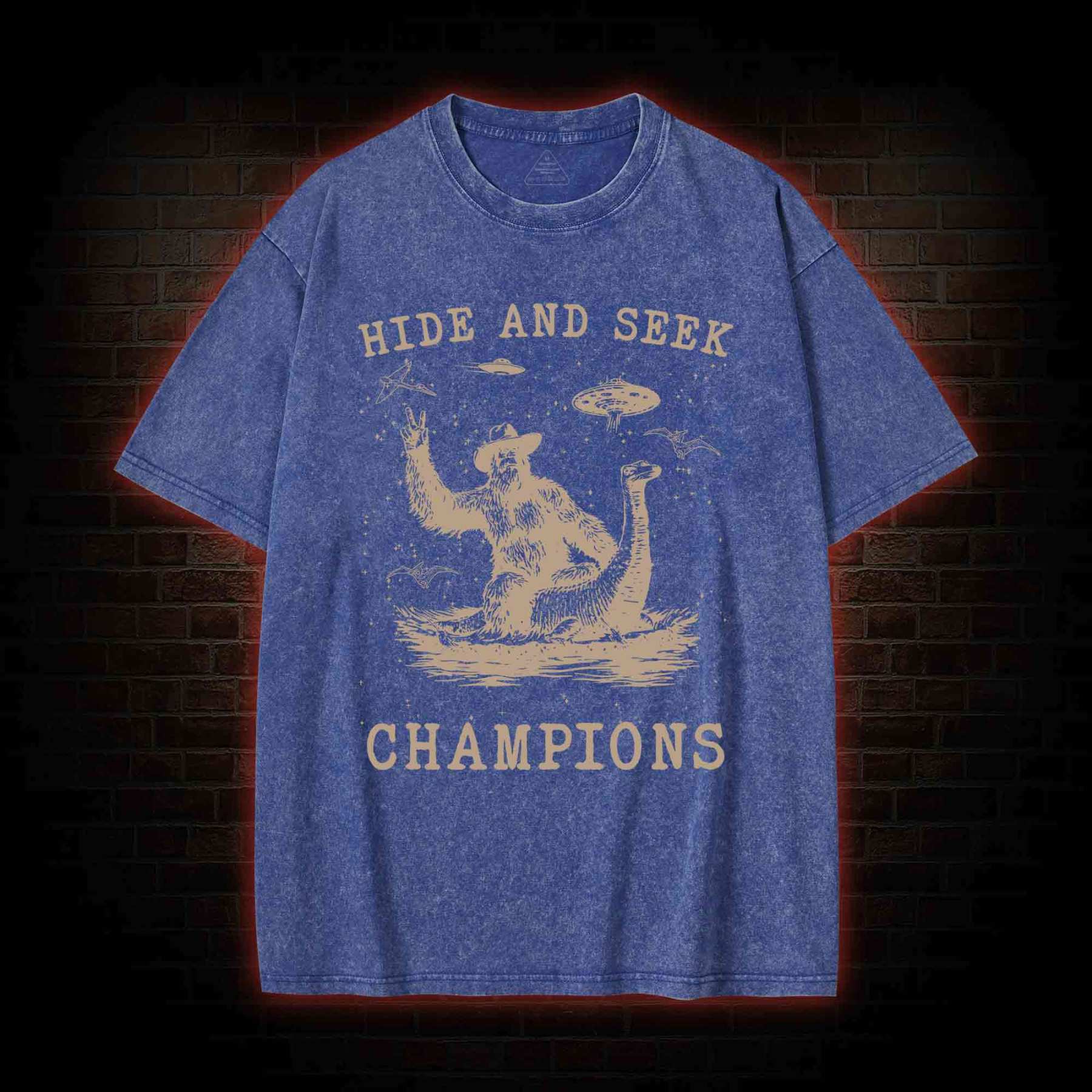 Hide & Seek Champion Washed T-shirt