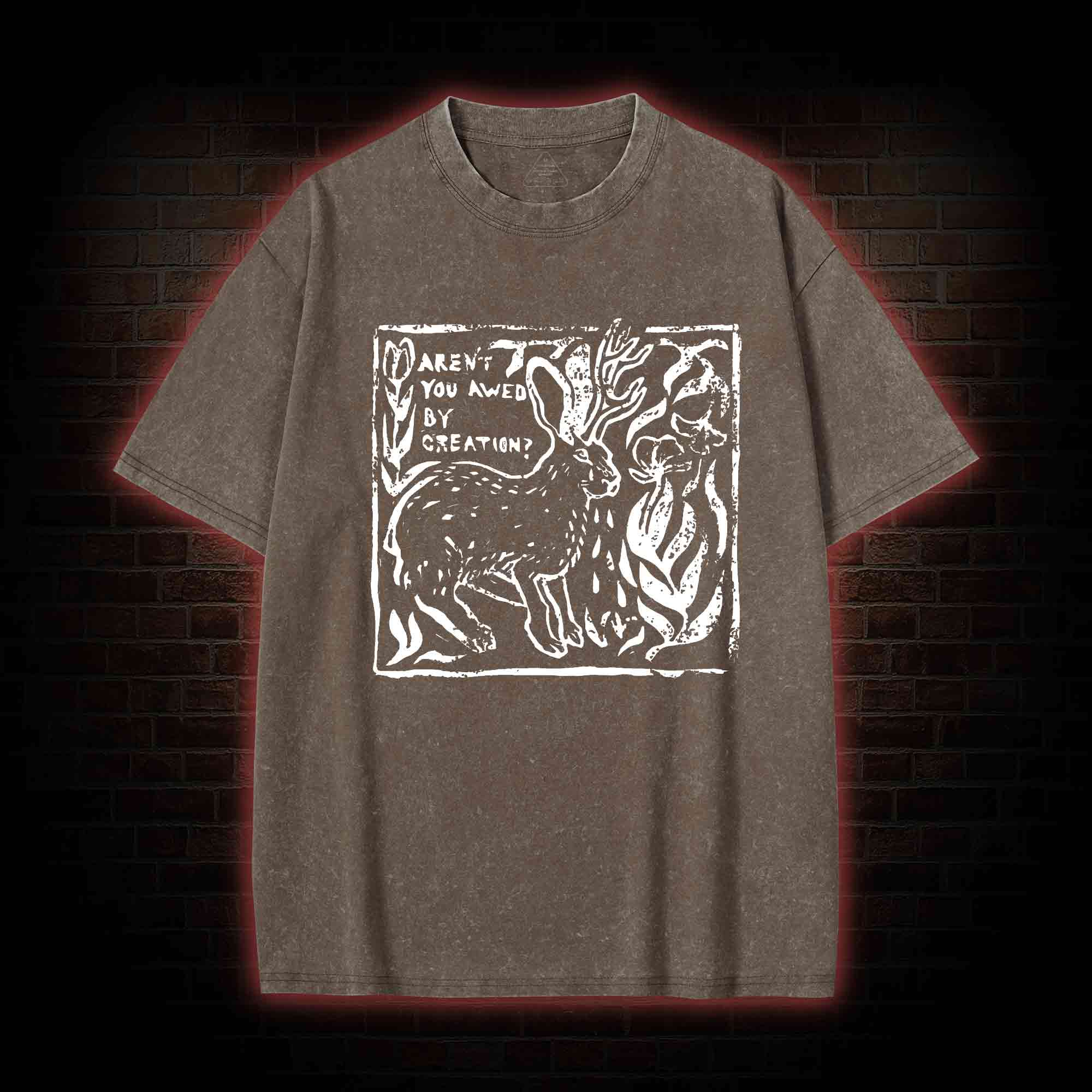 Aren't You Awed by Creation Washed T-shirt