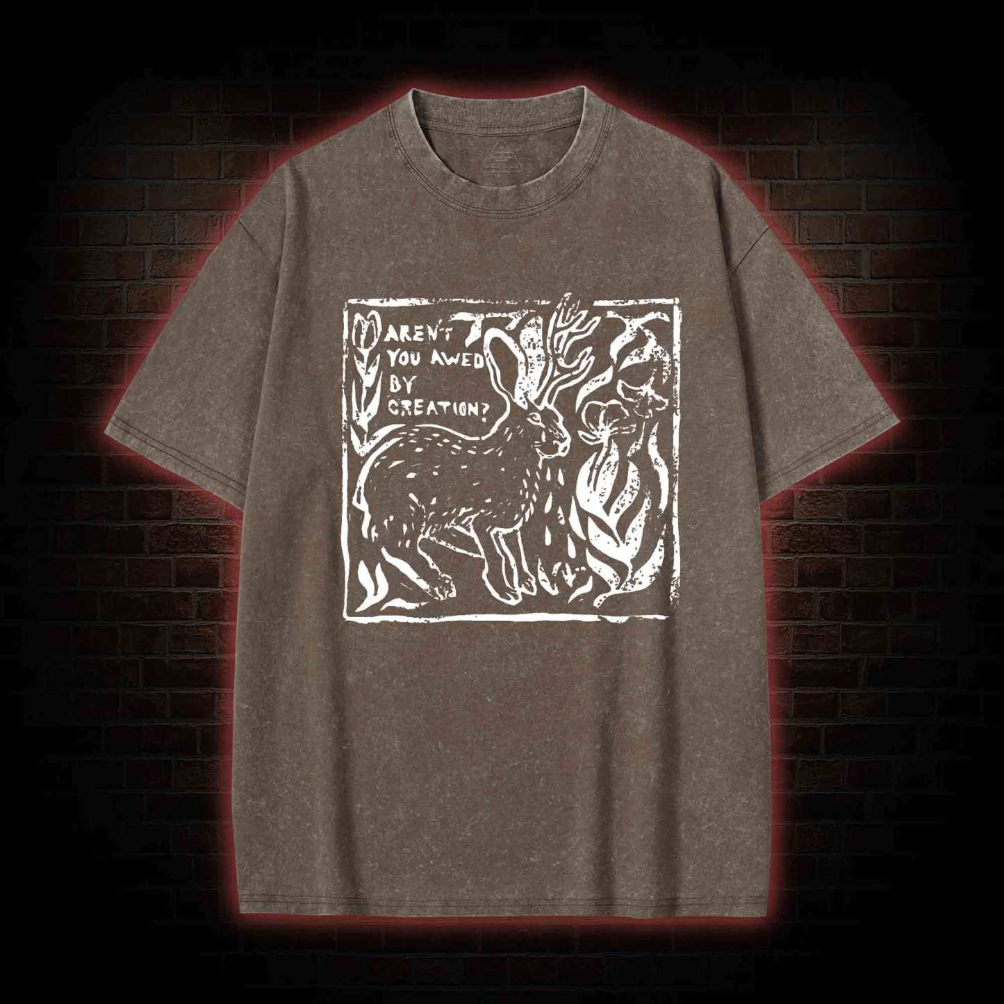 Aren't You Awed by Creation Washed T-shirt