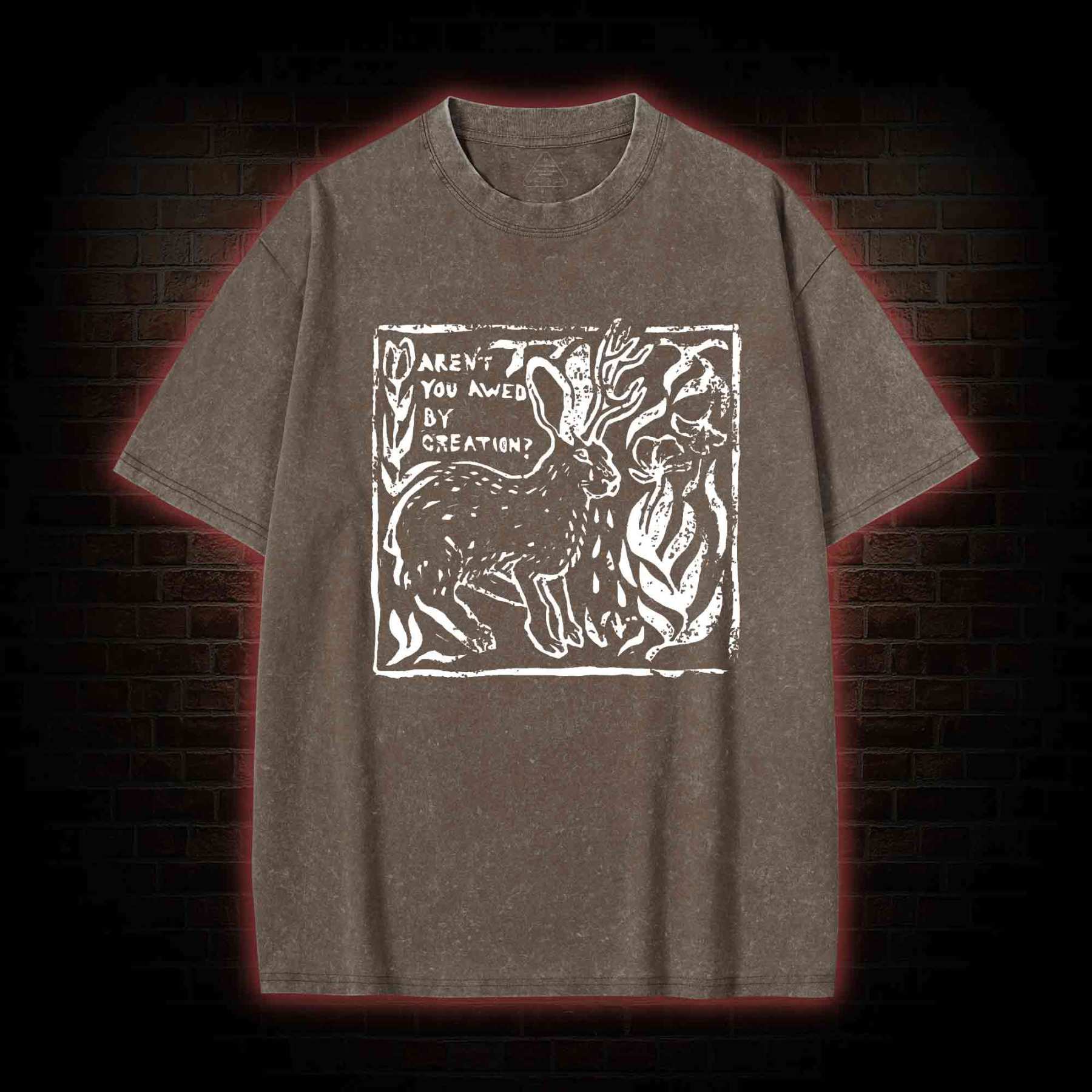 Aren't You Awed by Creation Washed T-shirt