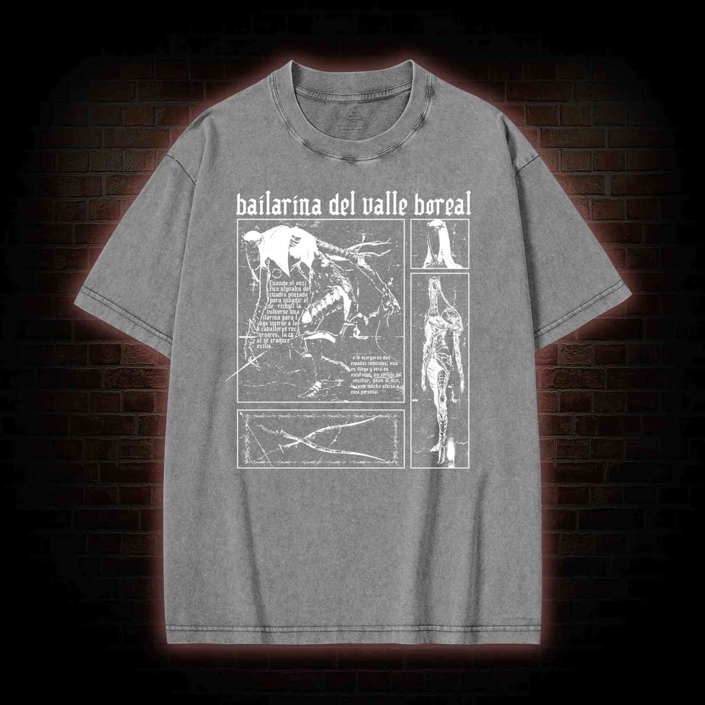 The Dancer of The Valley Washed T-shirt