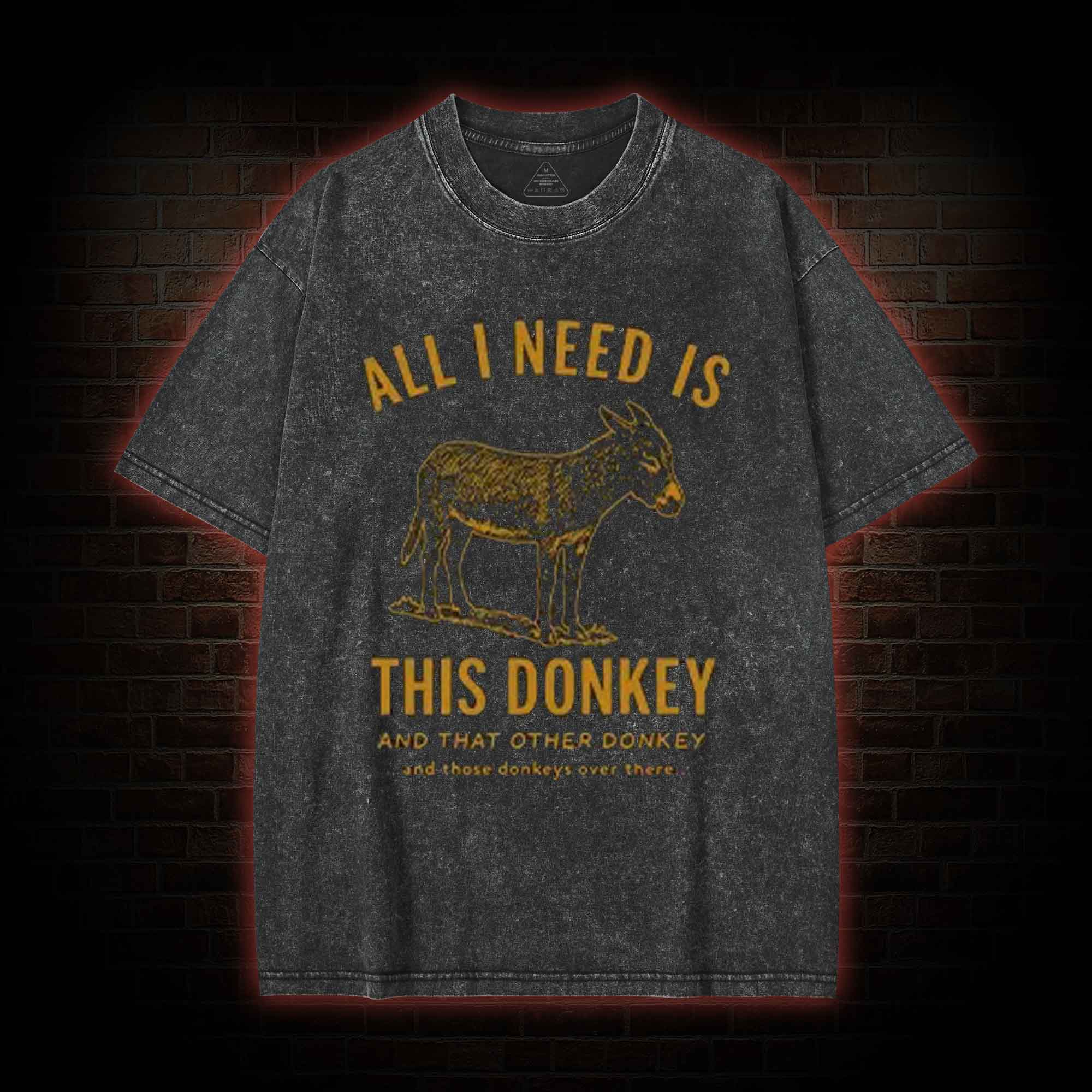 All I Need is This Donkey Washed T-shirt