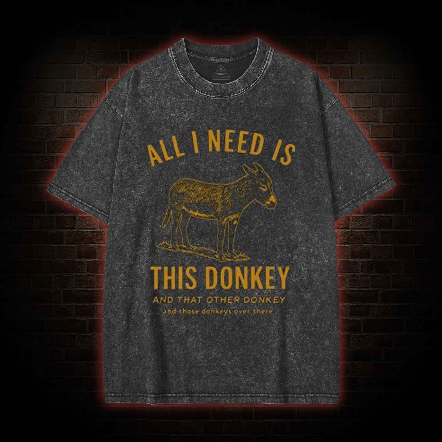 All I Need is This Donkey Washed T-shirt