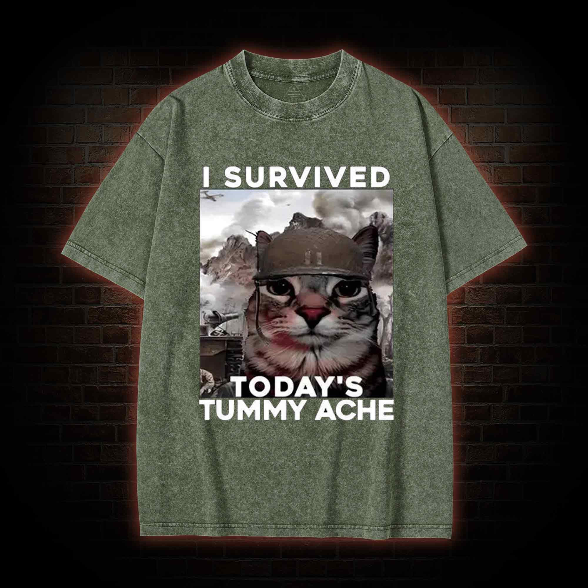 I Survived Today's Tummy Ache Washed T-shirt