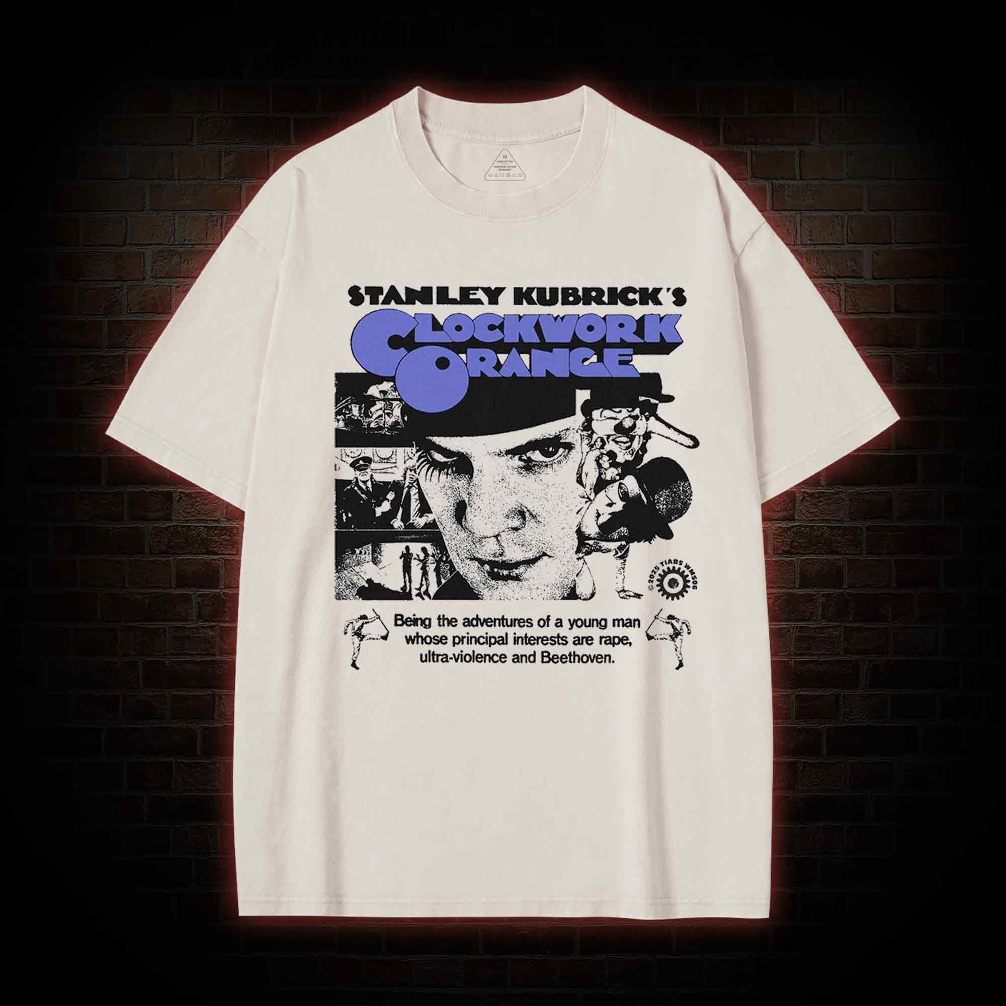 Goodness is Something to be Chosen Washed T-shirt