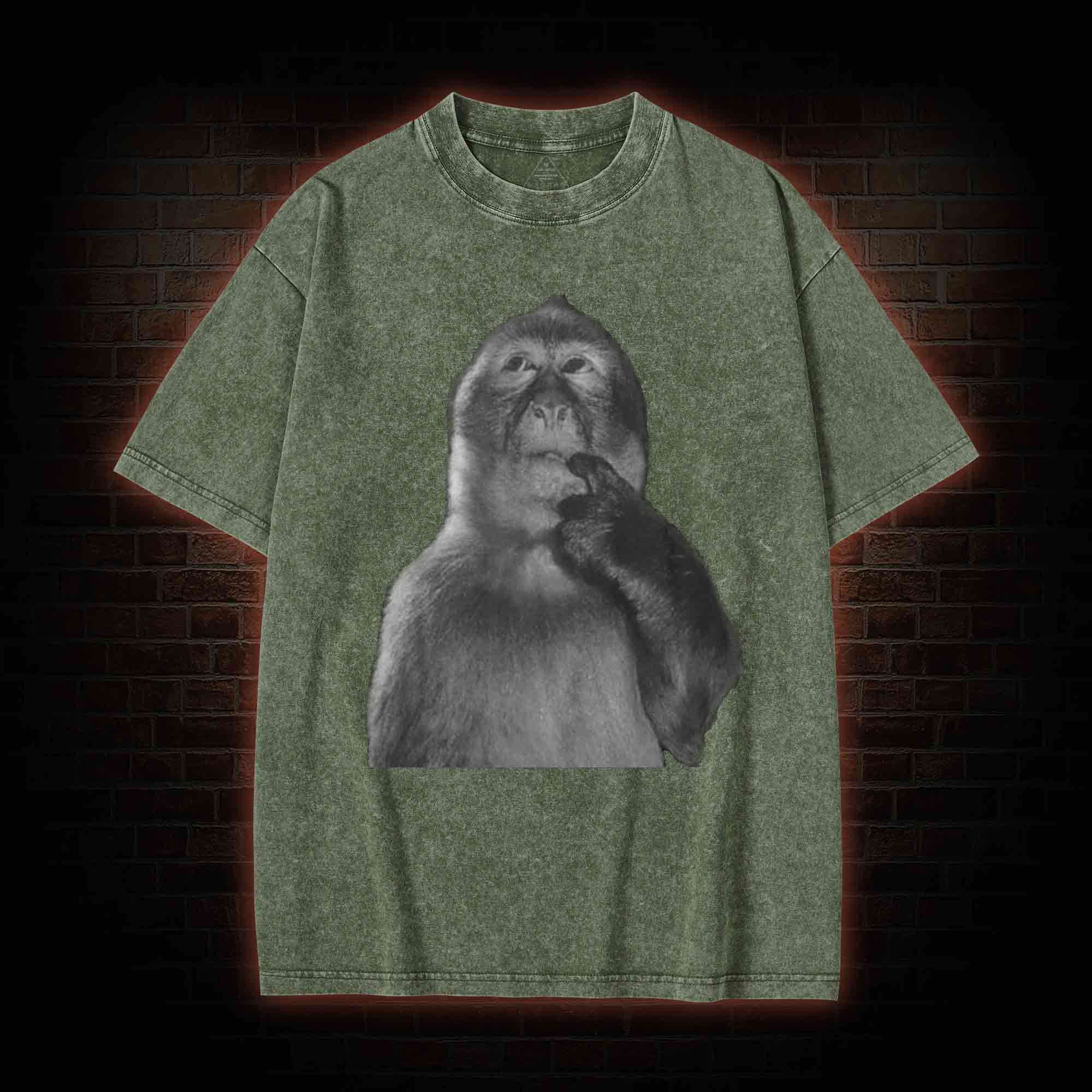 Funny Monkey Washed T-shirt